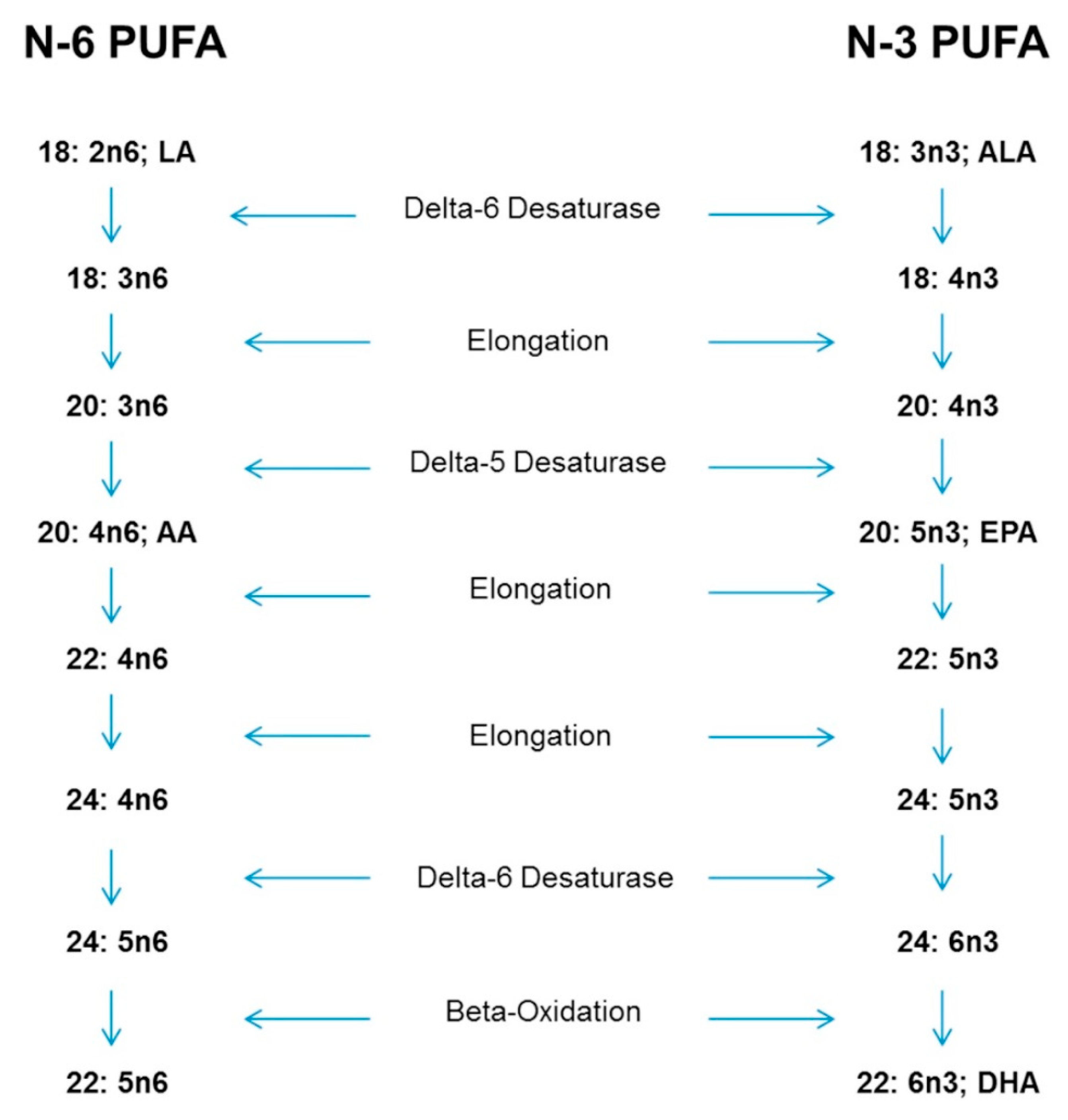 Nutrients 11 02365 g001