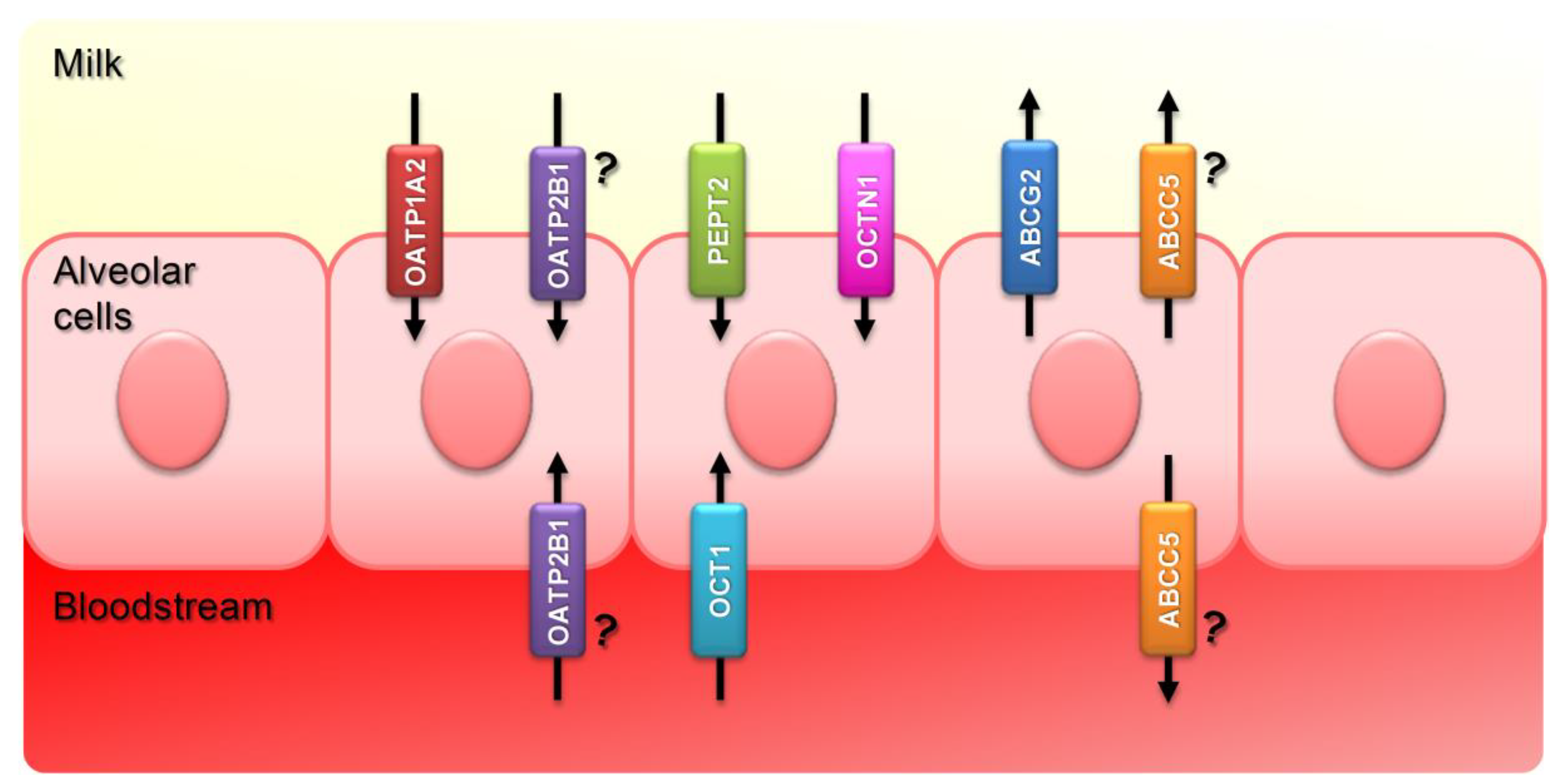Nutrients 11 02372 g001
