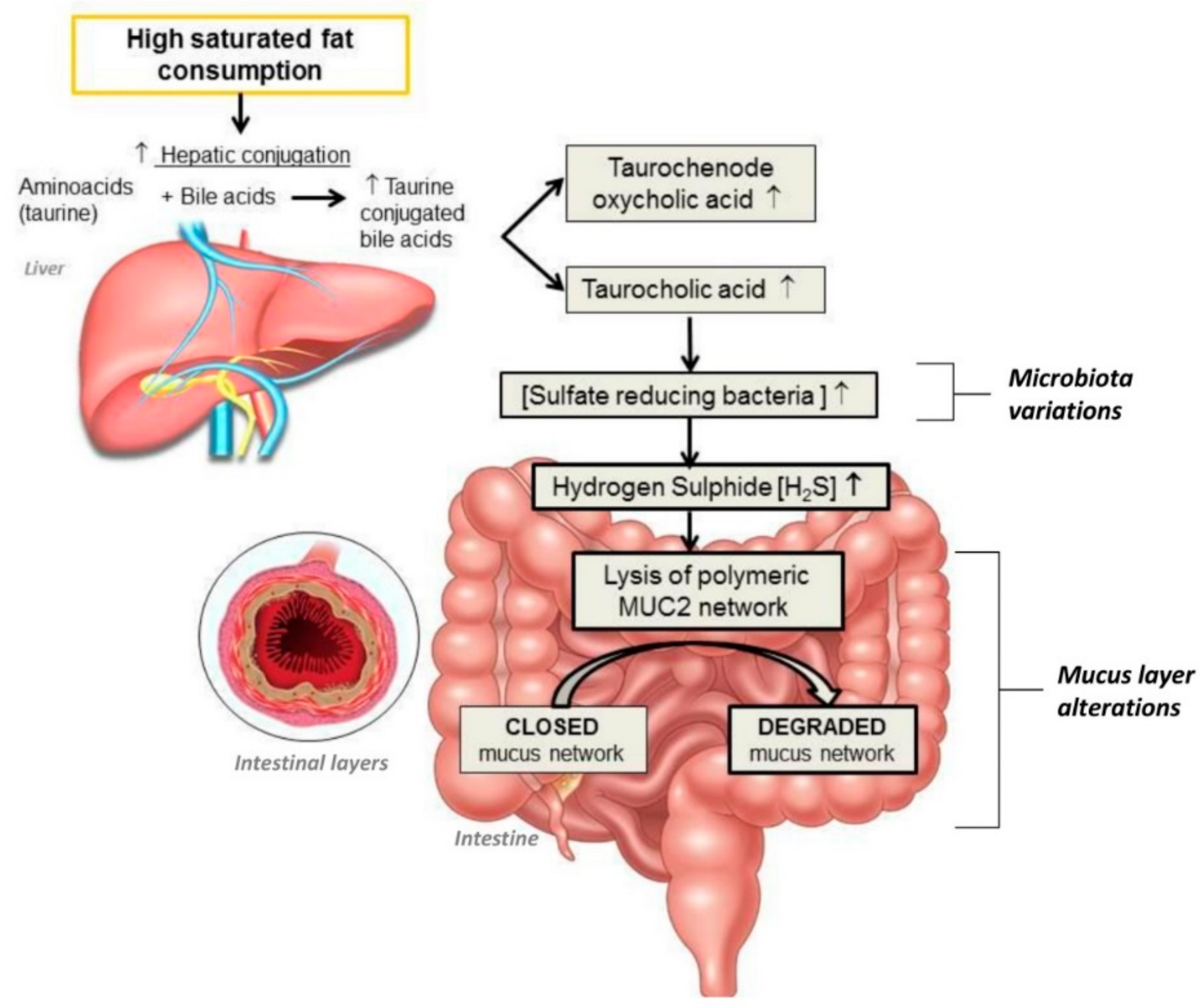 Nutrients 11 02393 g001