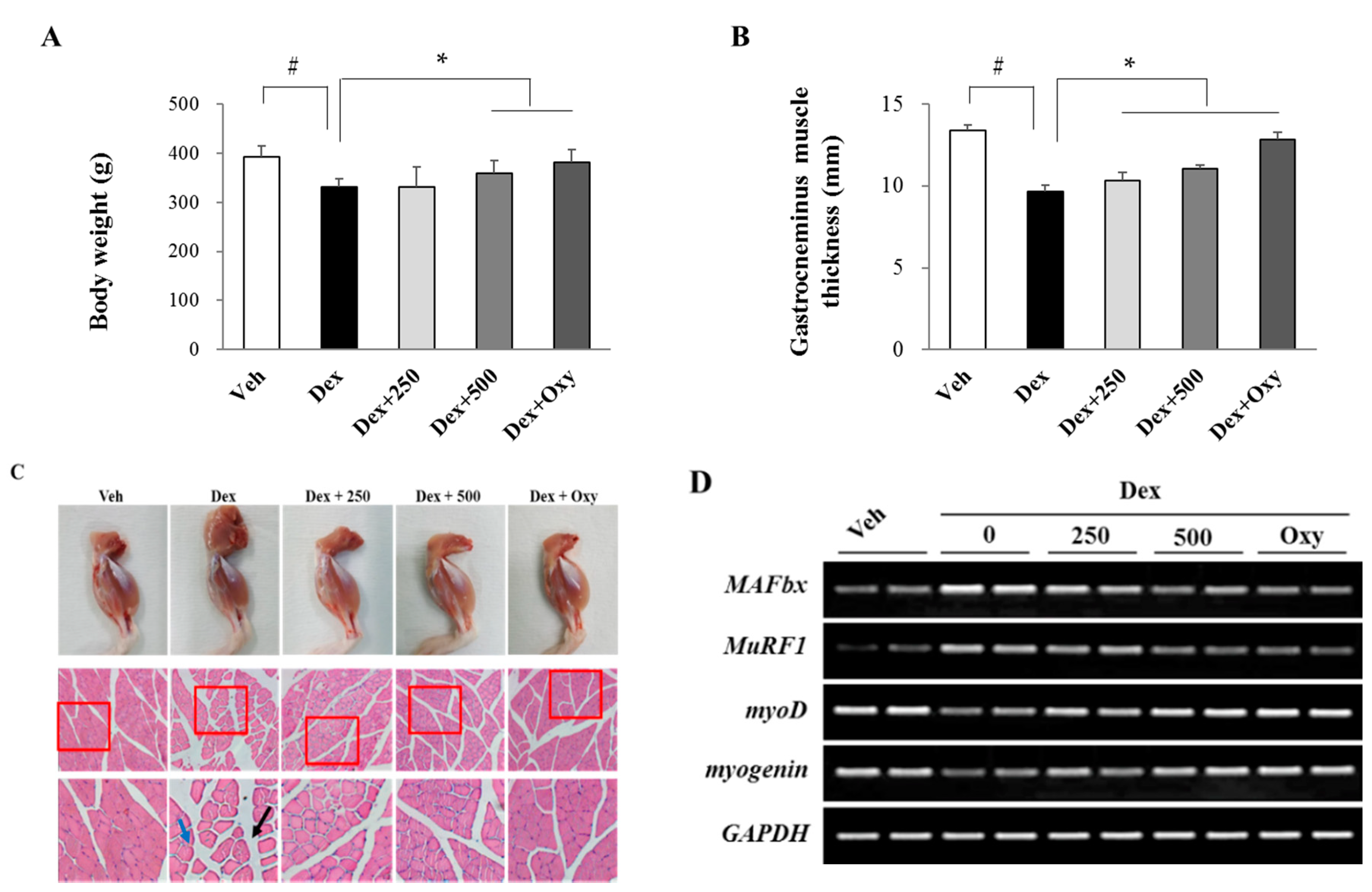 Nutrients 11 02419 g001 Nutrients 11 02419 g001