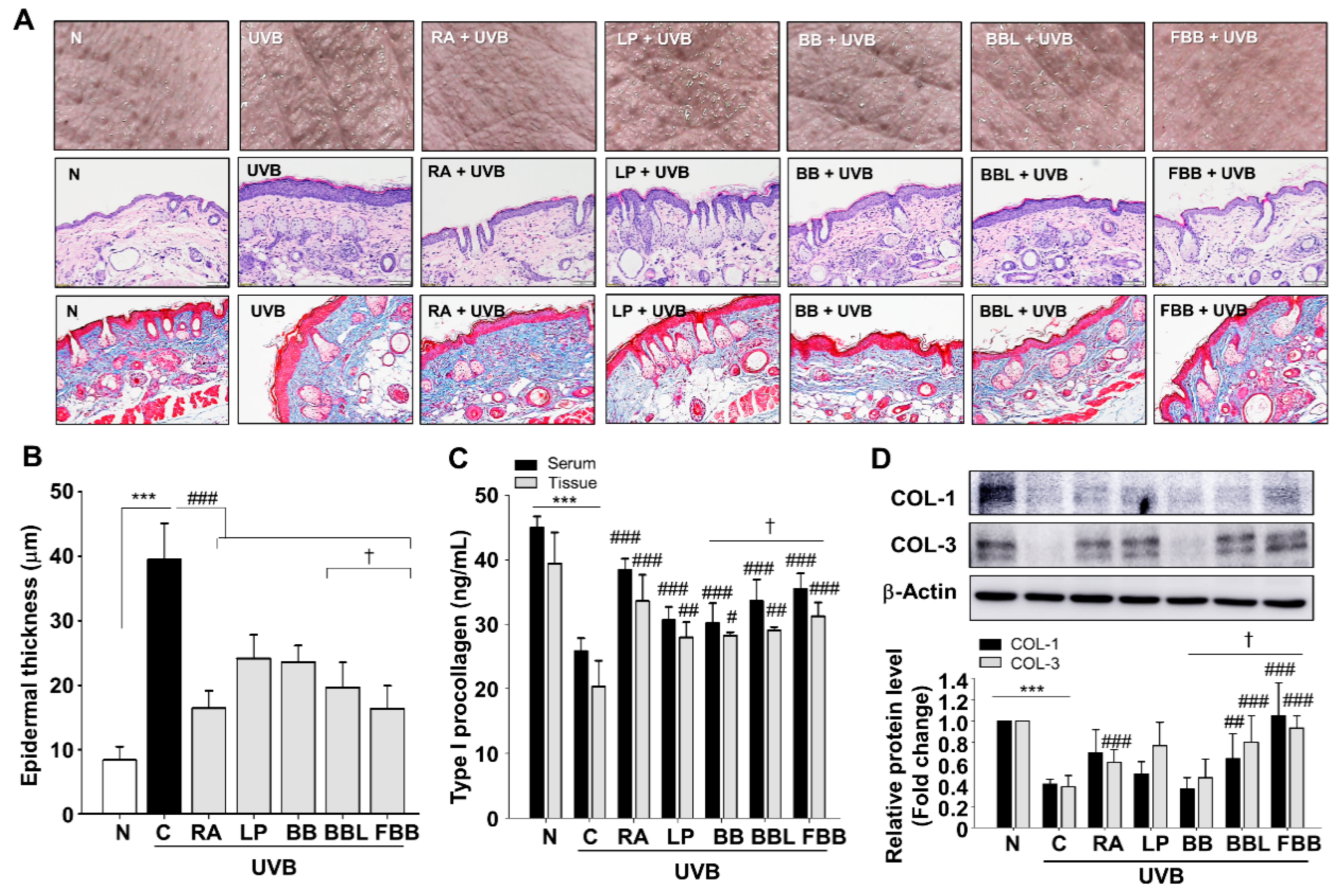 Nutrients 11 02429 g004 Nutrients 11 02429 g004