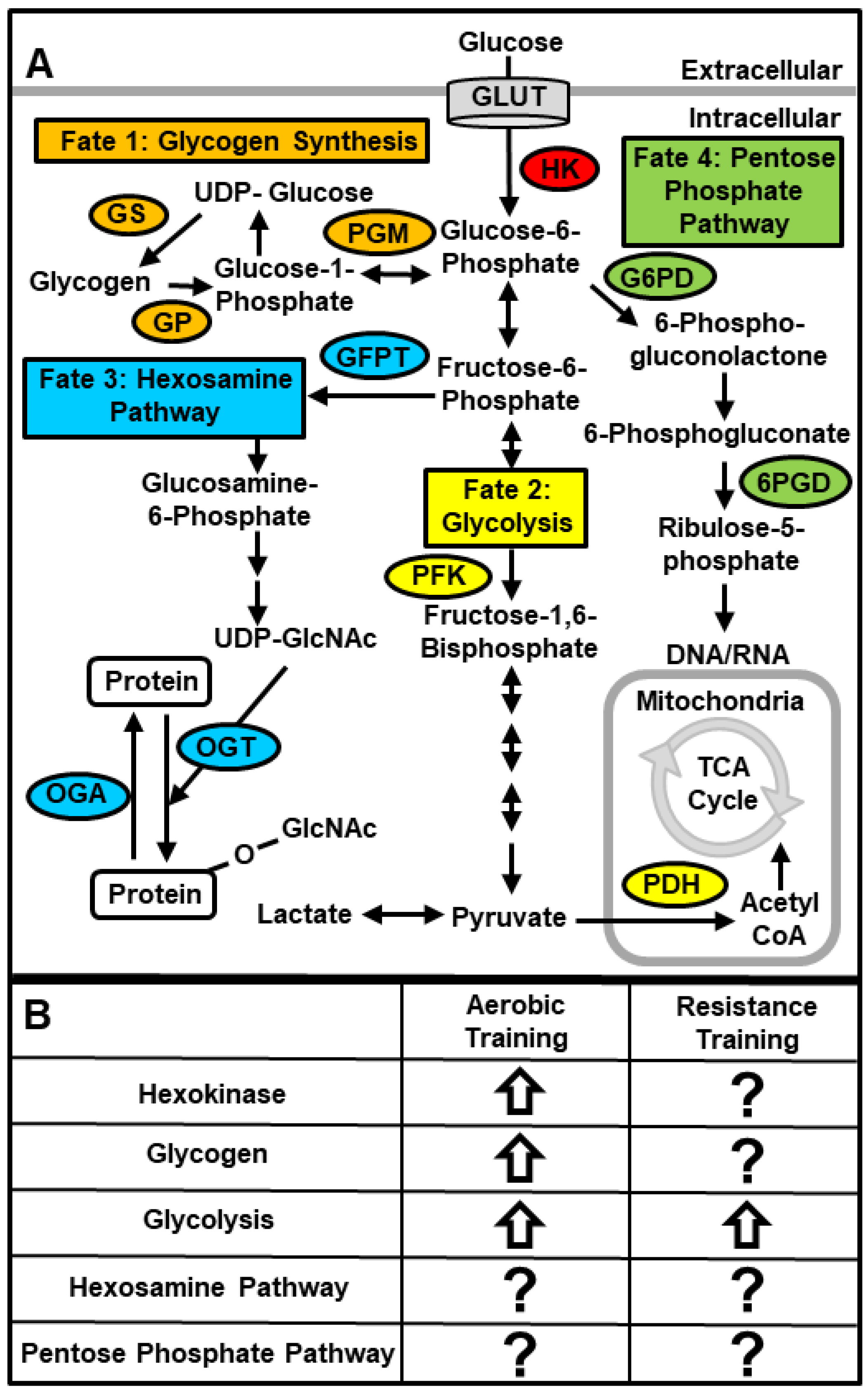 Nutrients 11 02432 g002