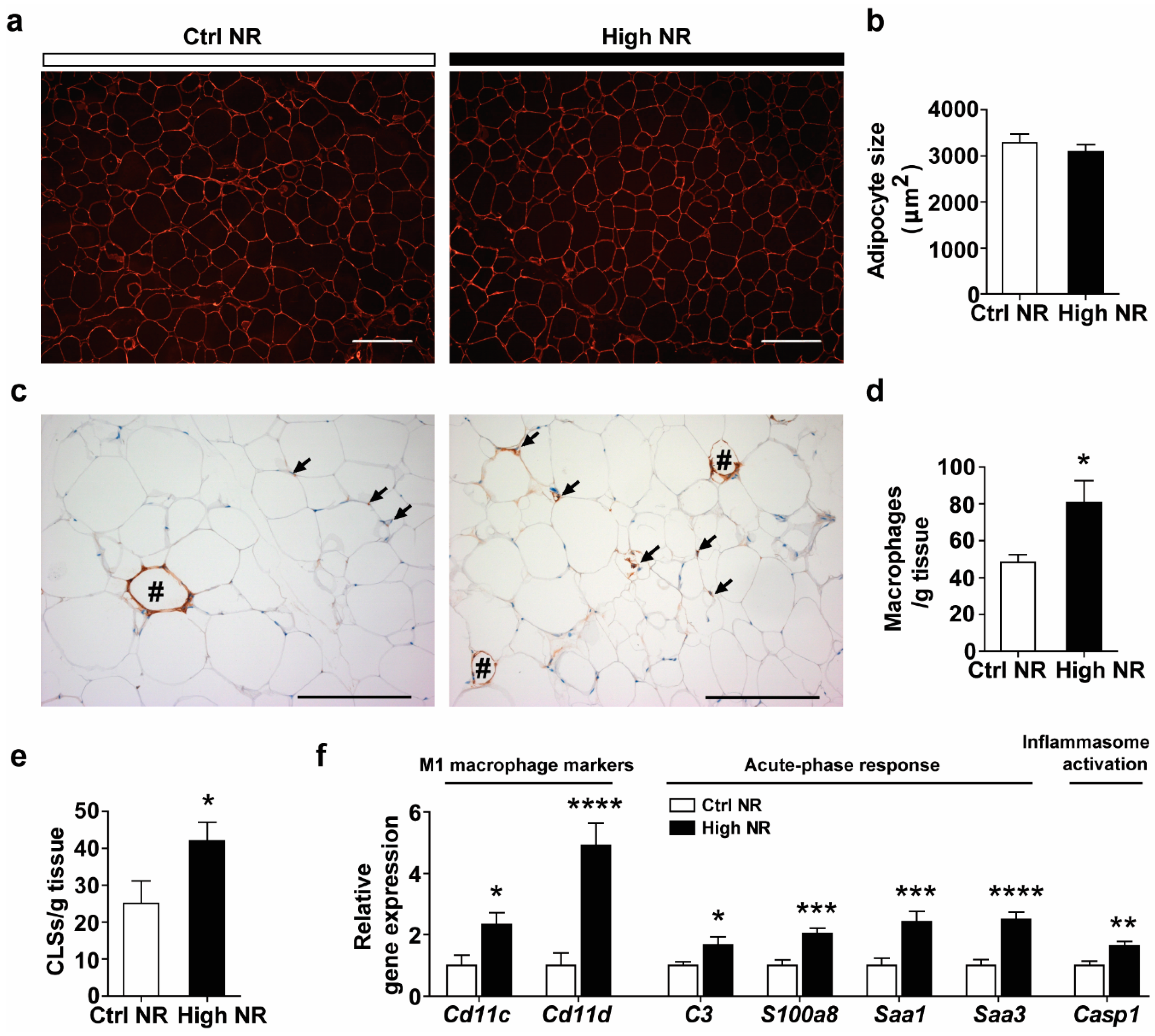 Nutrients 11 02439 g005