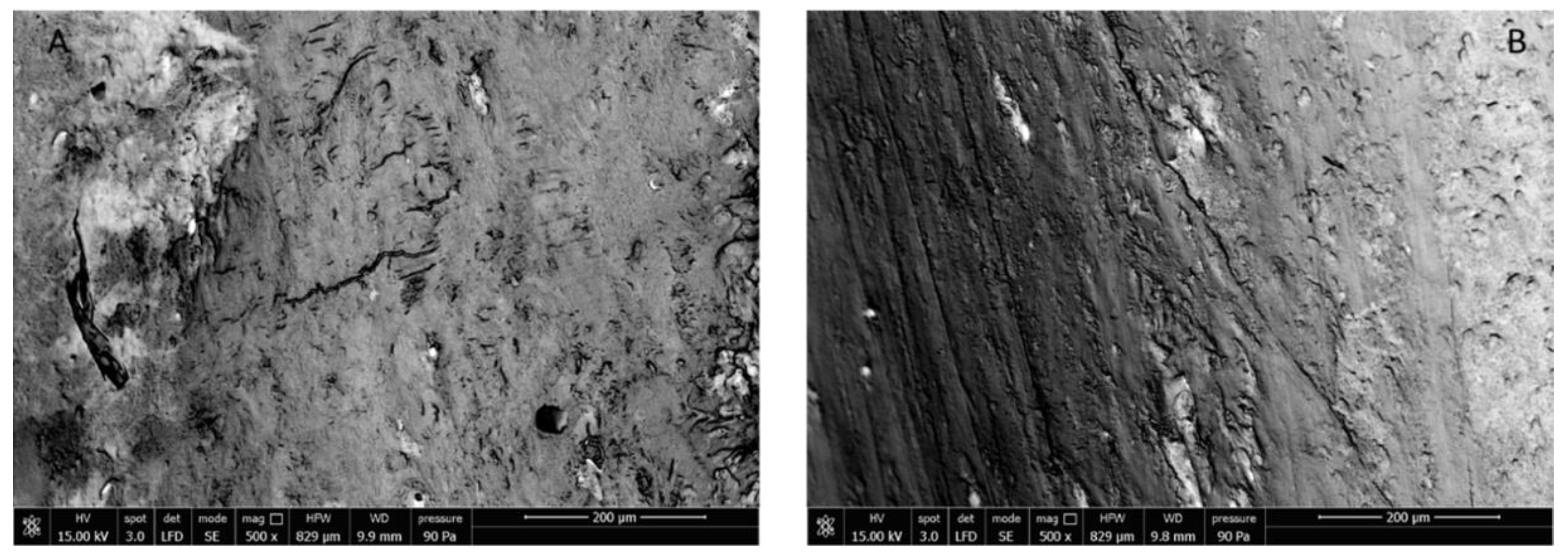 Nutrients 11 02467 g006 Nutrients 11 02467 g006