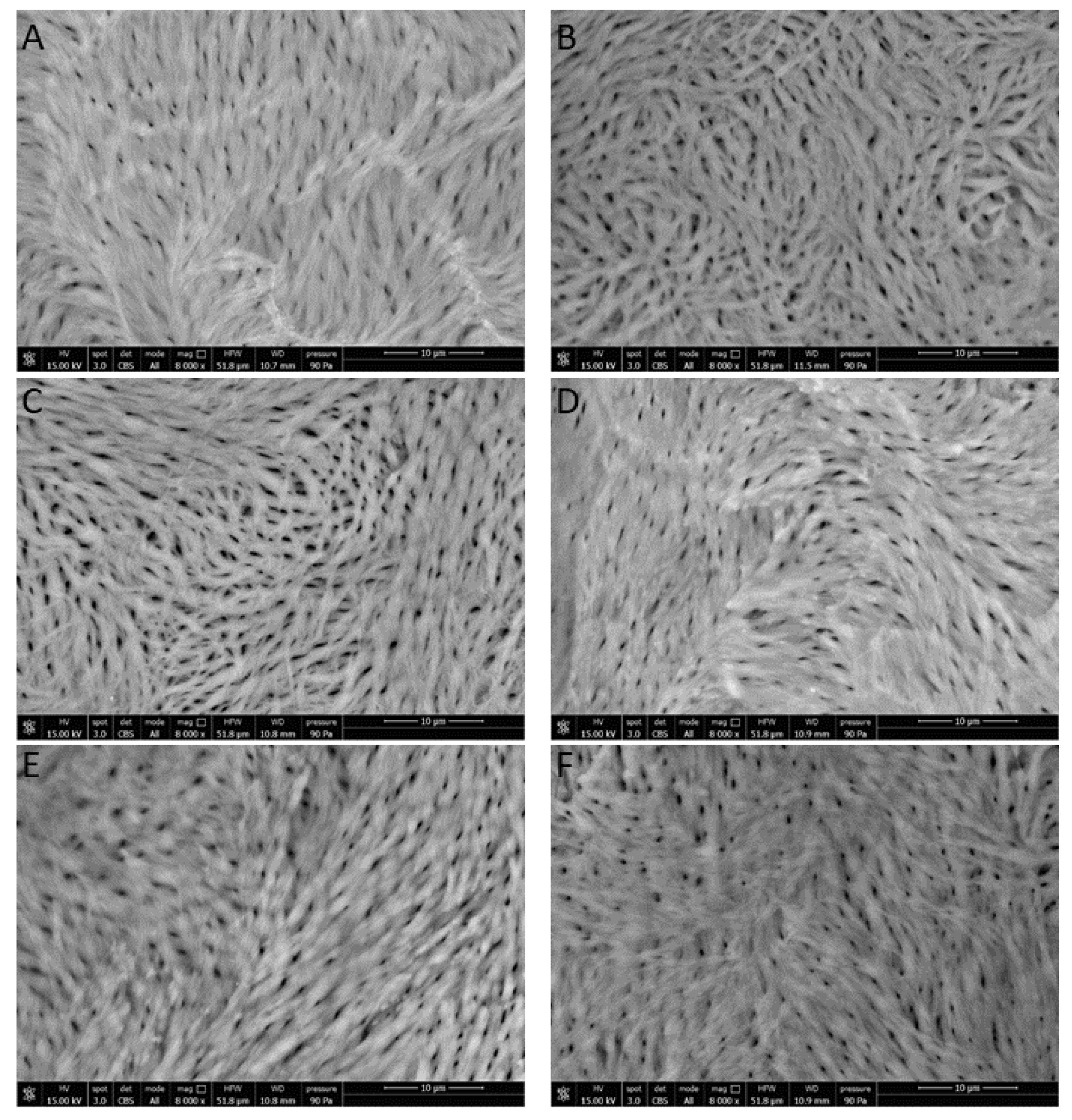 Nutrients 11 02467 g007 Nutrients 11 02467 g007
