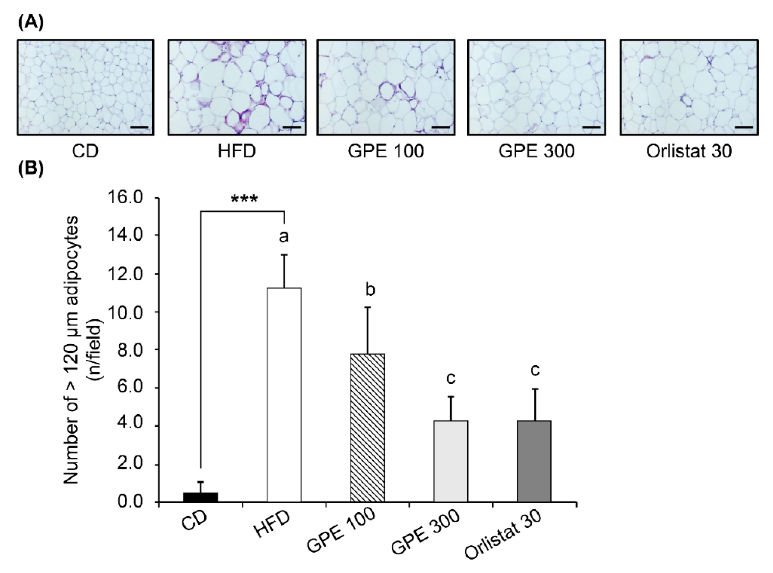 Nutrients 11 02475 g001