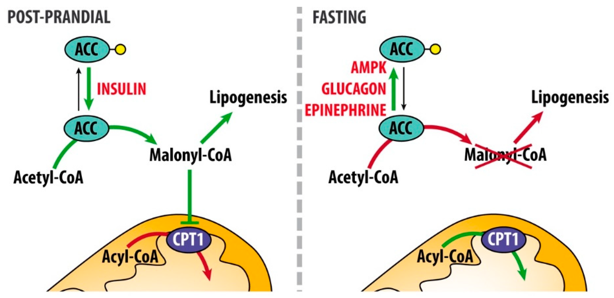 Nutrients 11 02497 g002