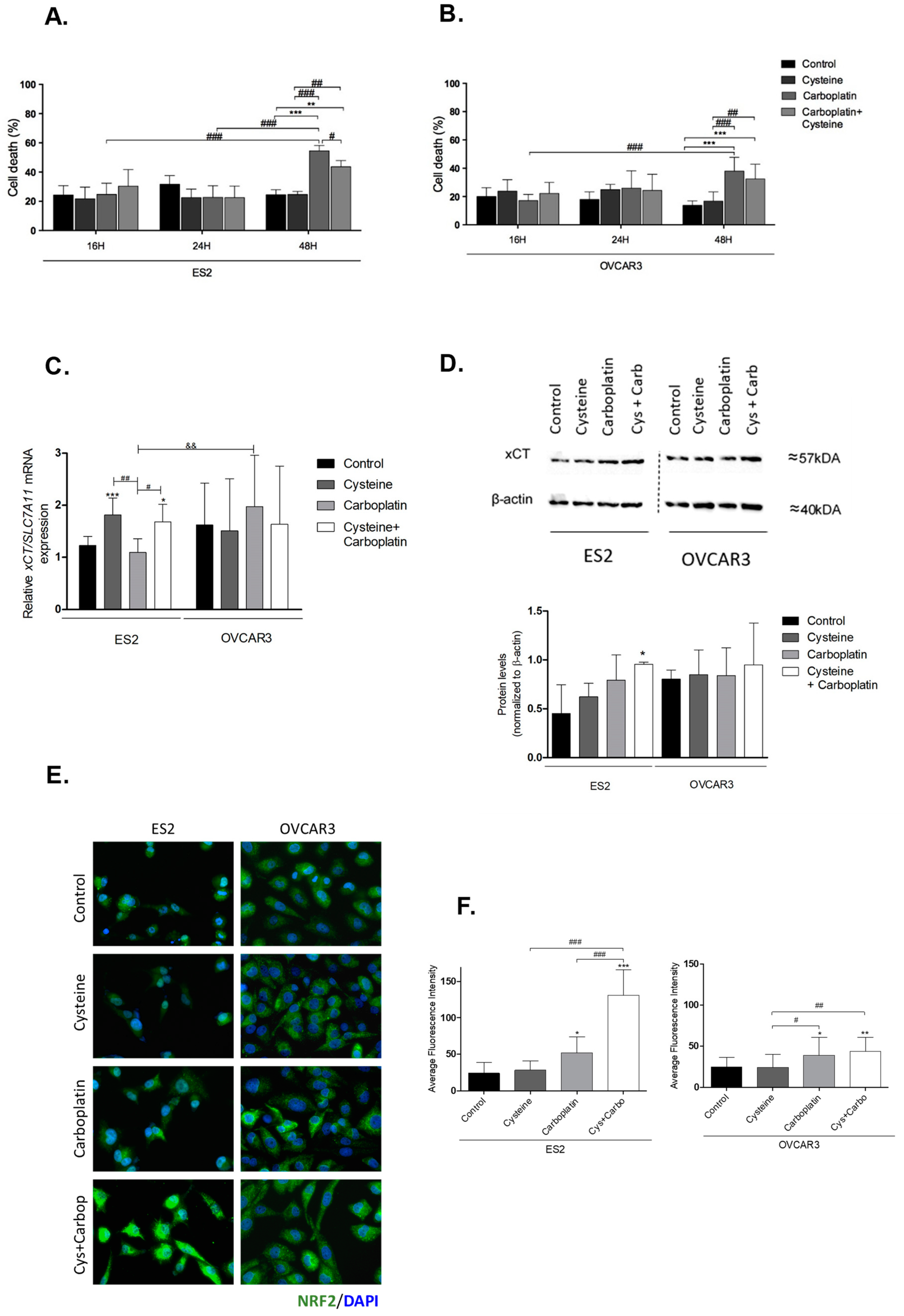 Nutrients 11 02523 g001