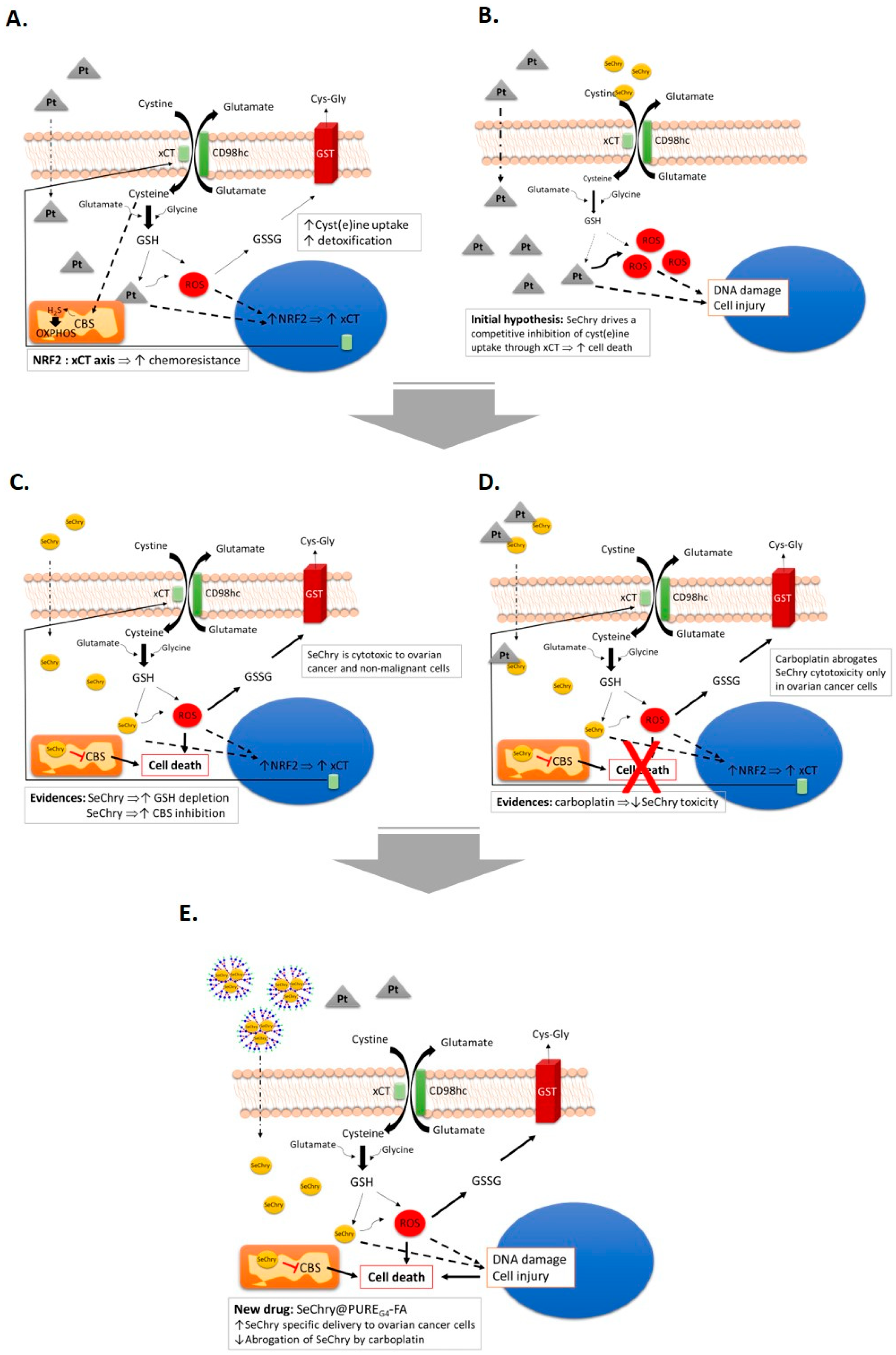 Nutrients 11 02523 g007