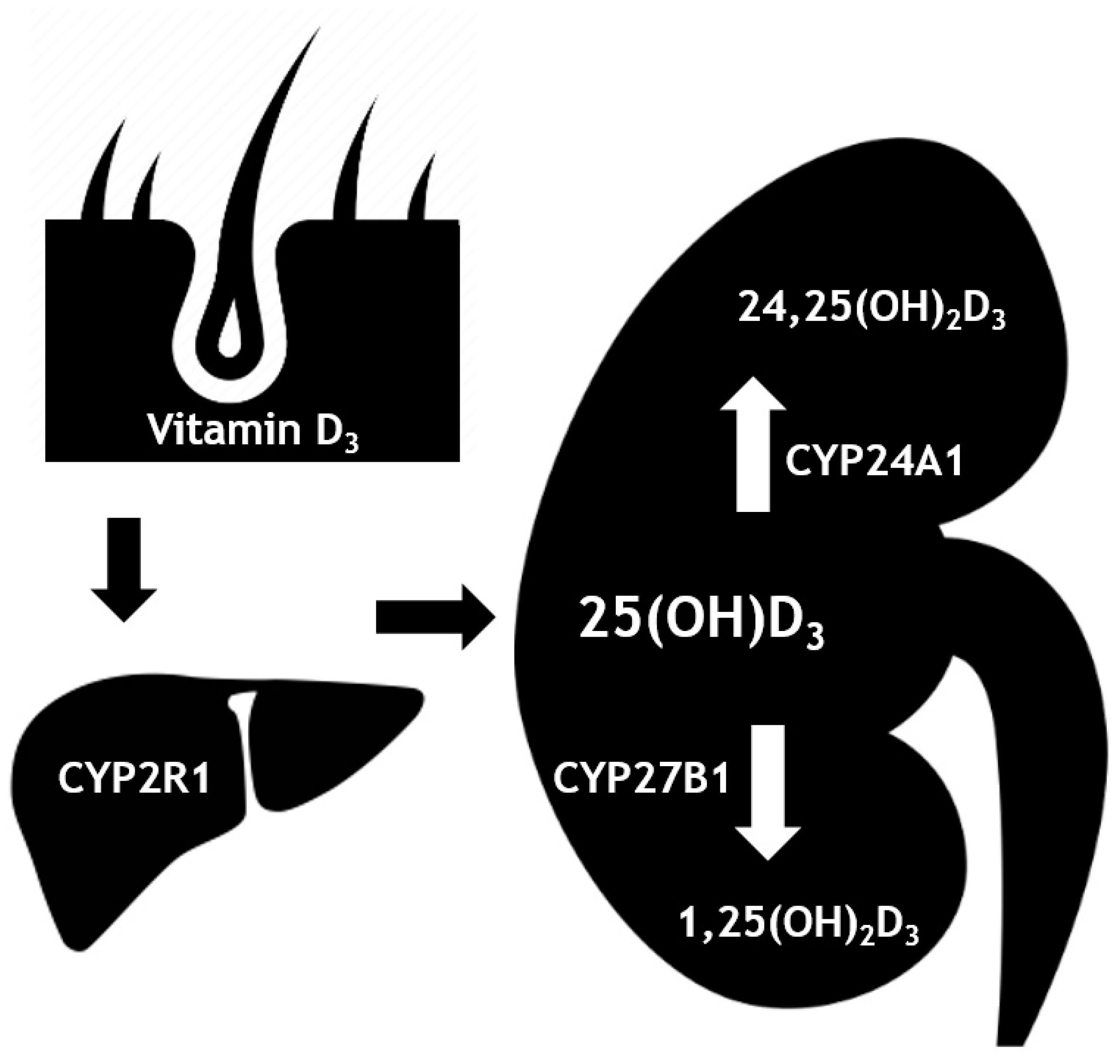 Nutrients 11 02539 g001