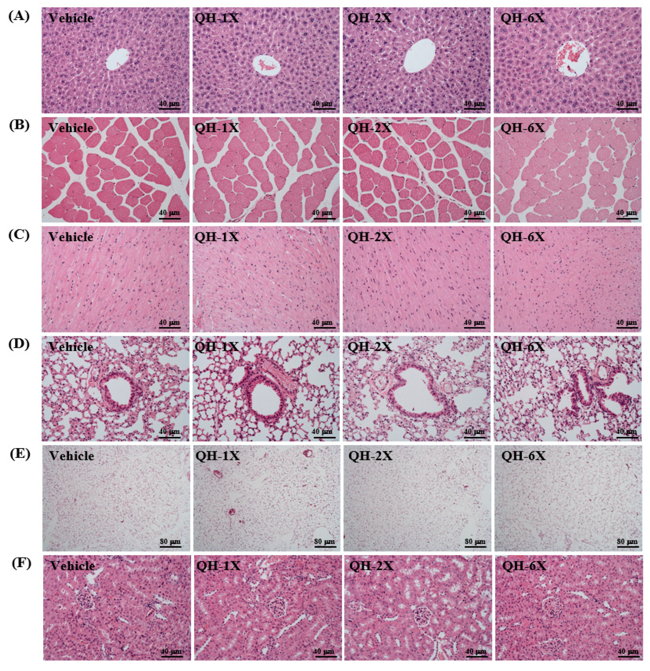 Nutrients 11 02550 g007