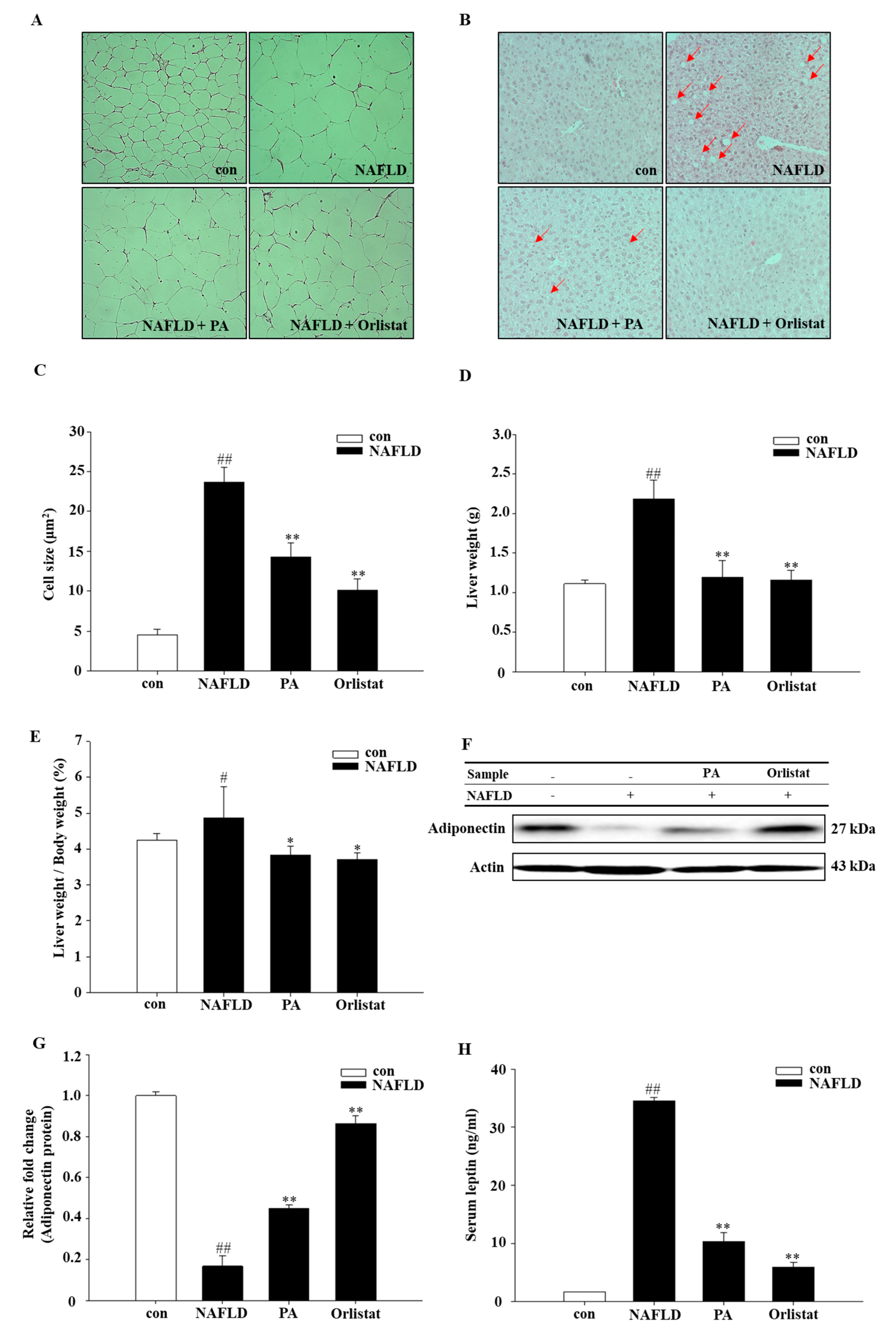 Nutrients 11 02586 g002
