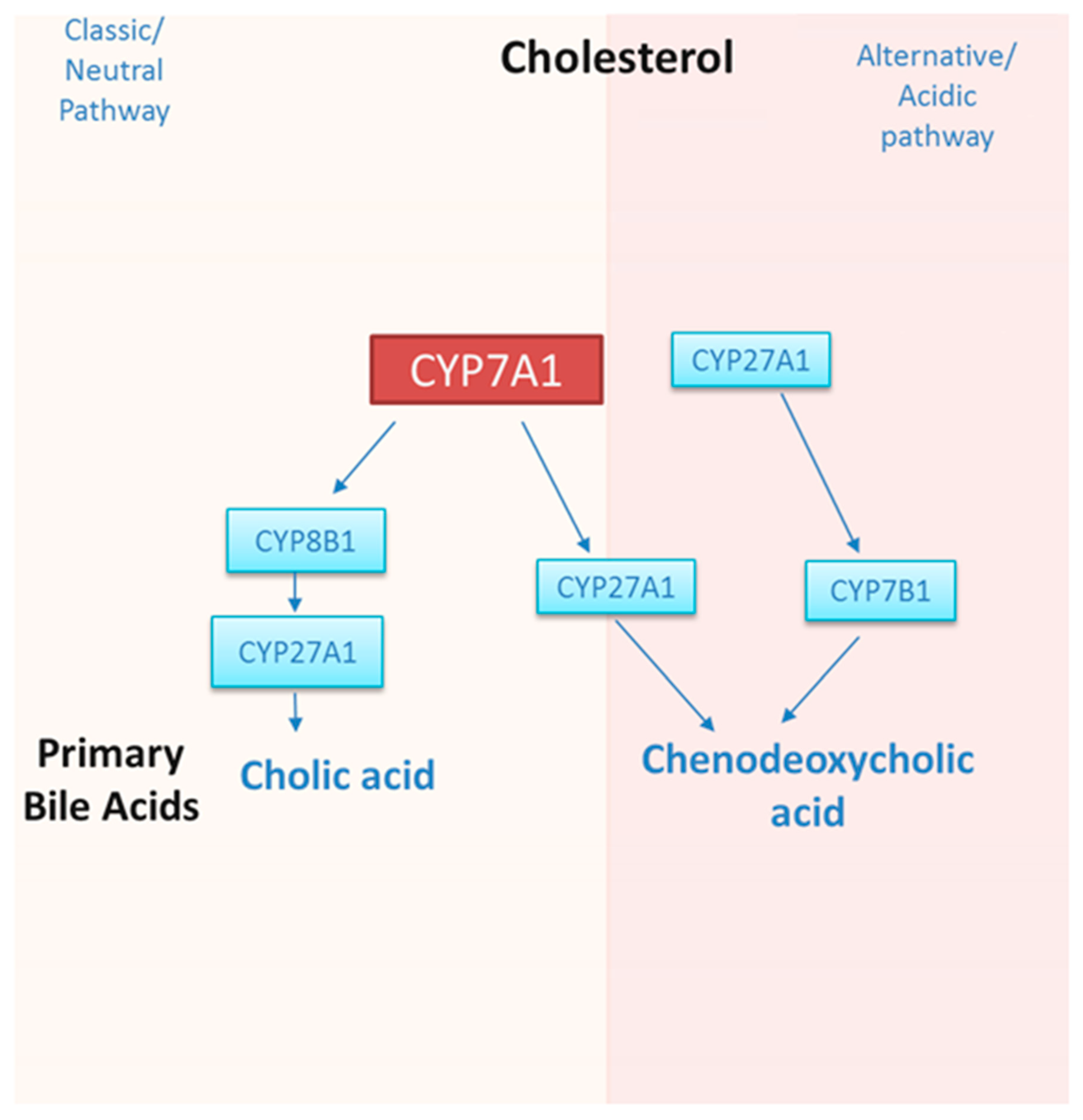 Nutrients 11 02588 g002
