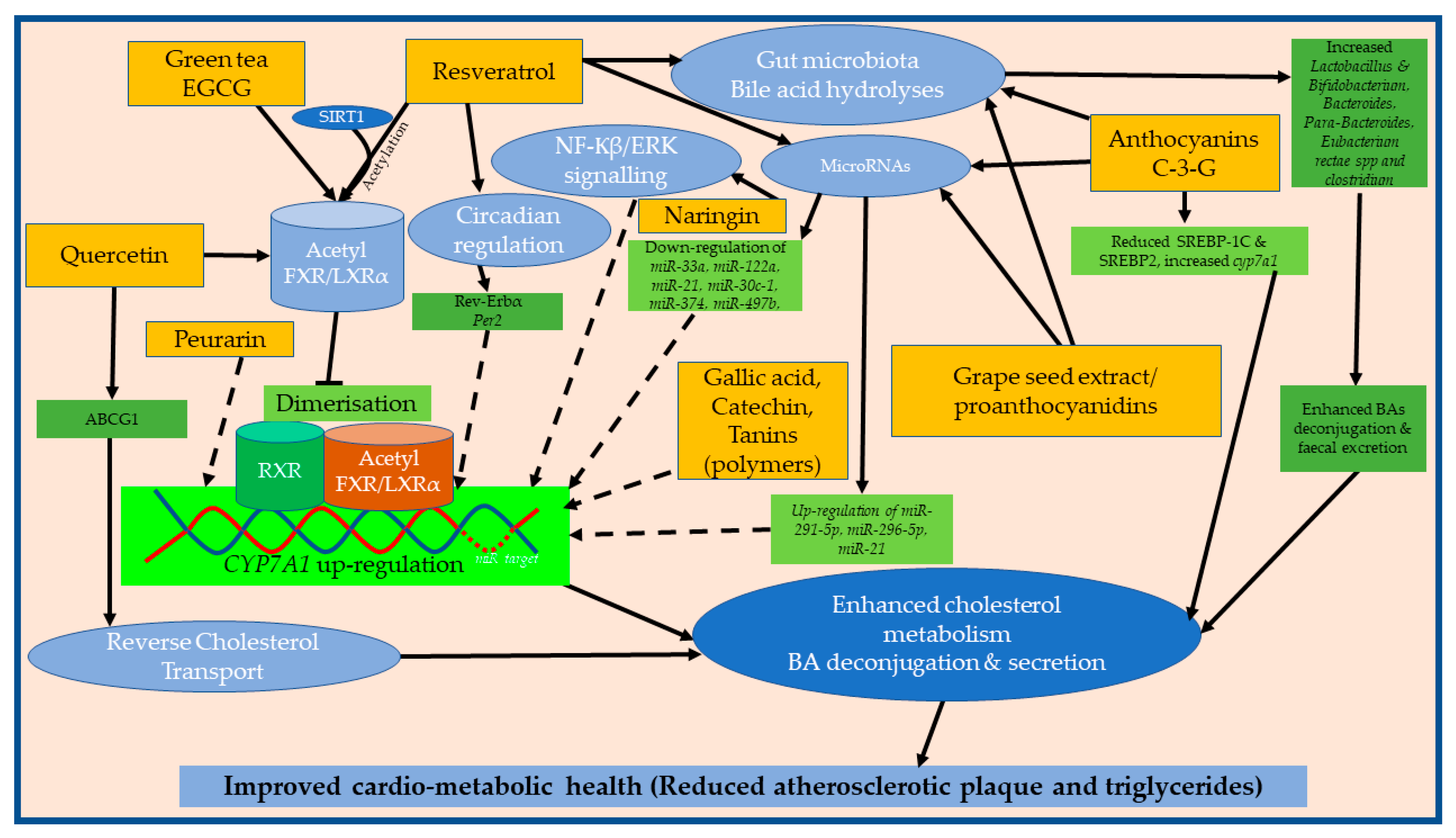 Nutrients 11 02588 g003