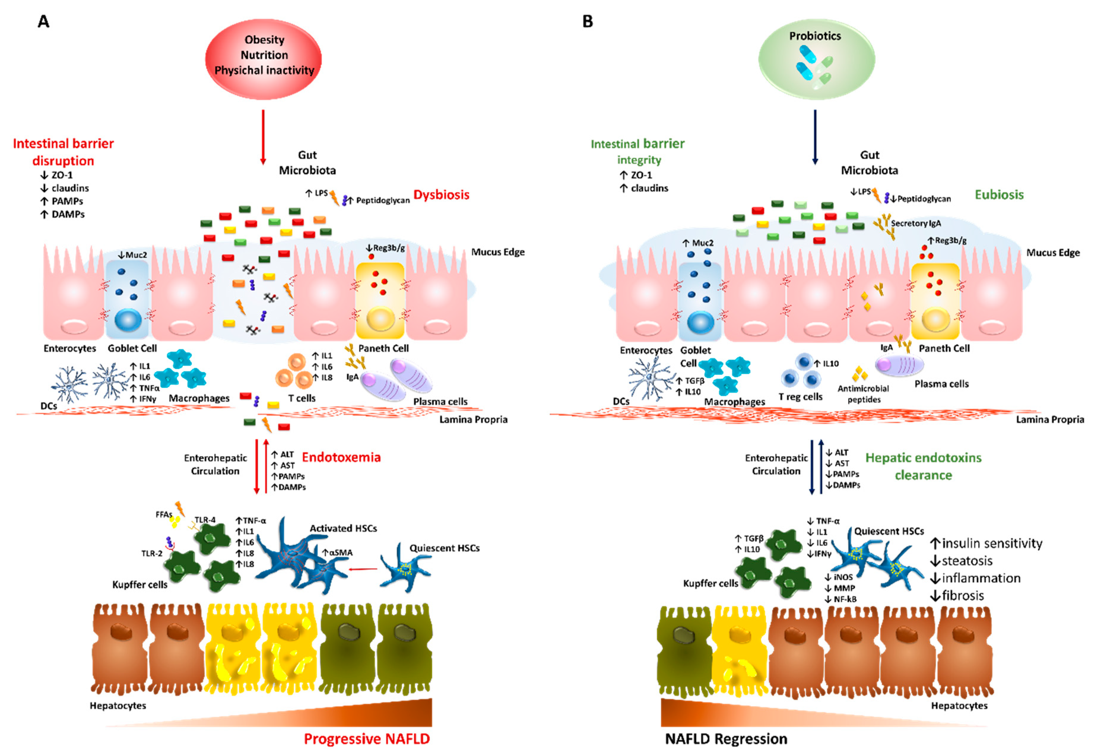 Nutrients 11 02642 g001