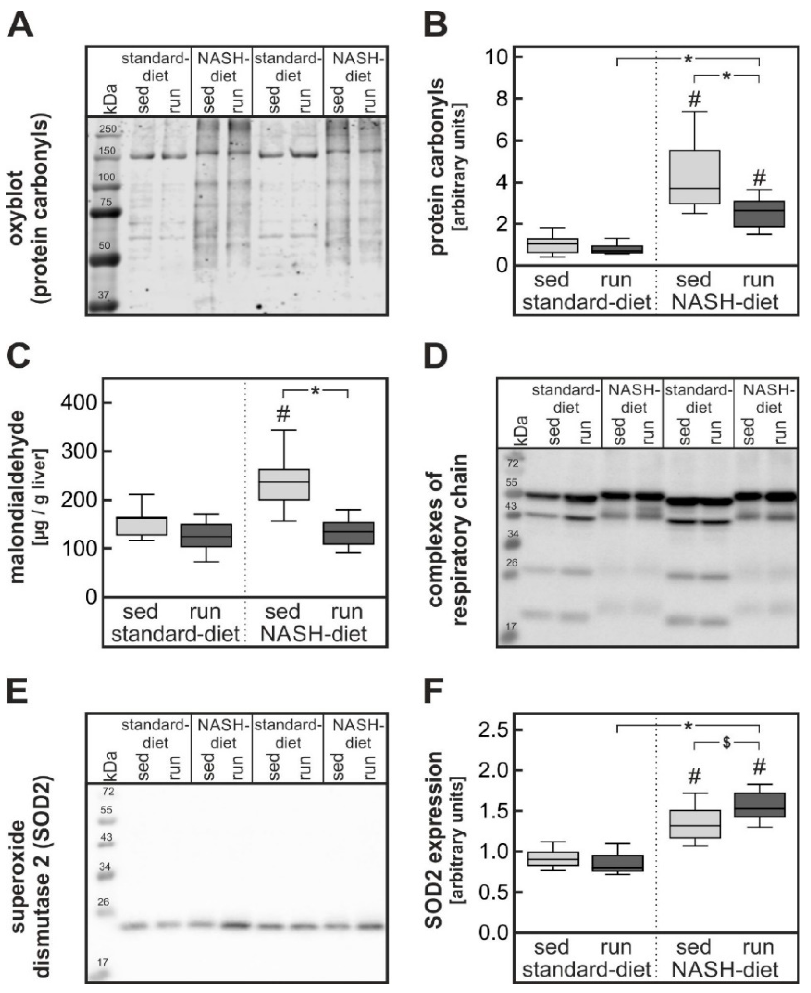 Nutrients 11 02709 g005
