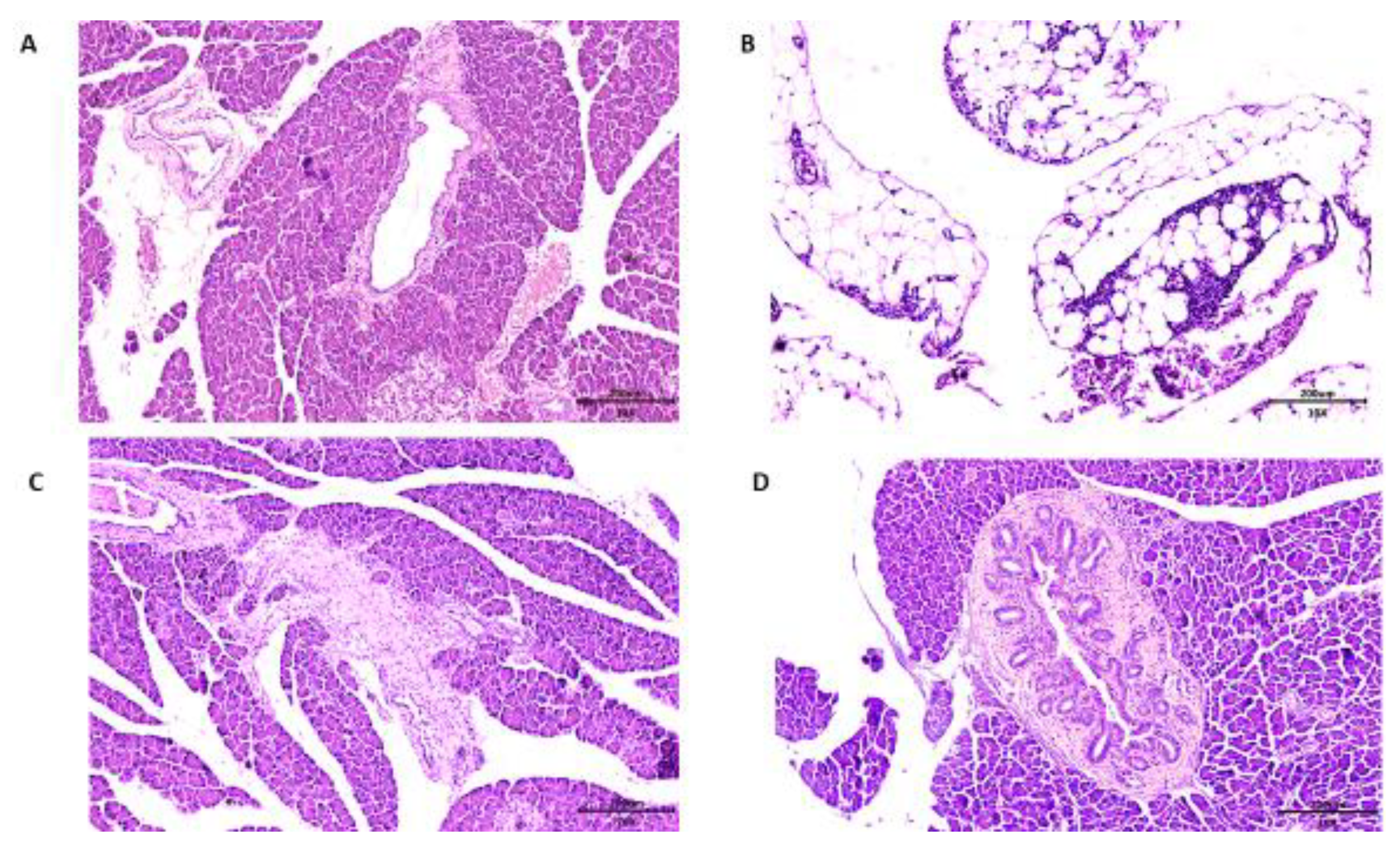 Nutrients 11 02770 g007