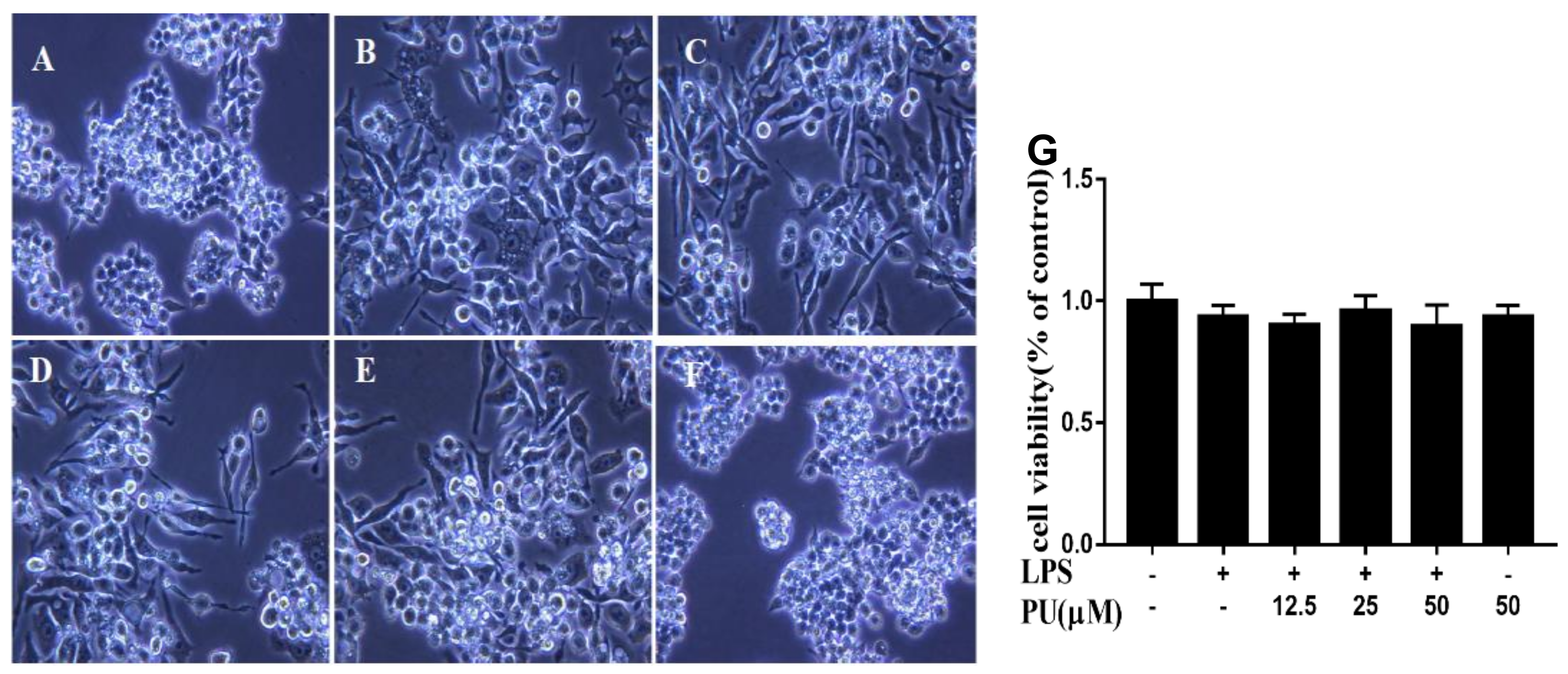 Nutrients 11 02794 g002