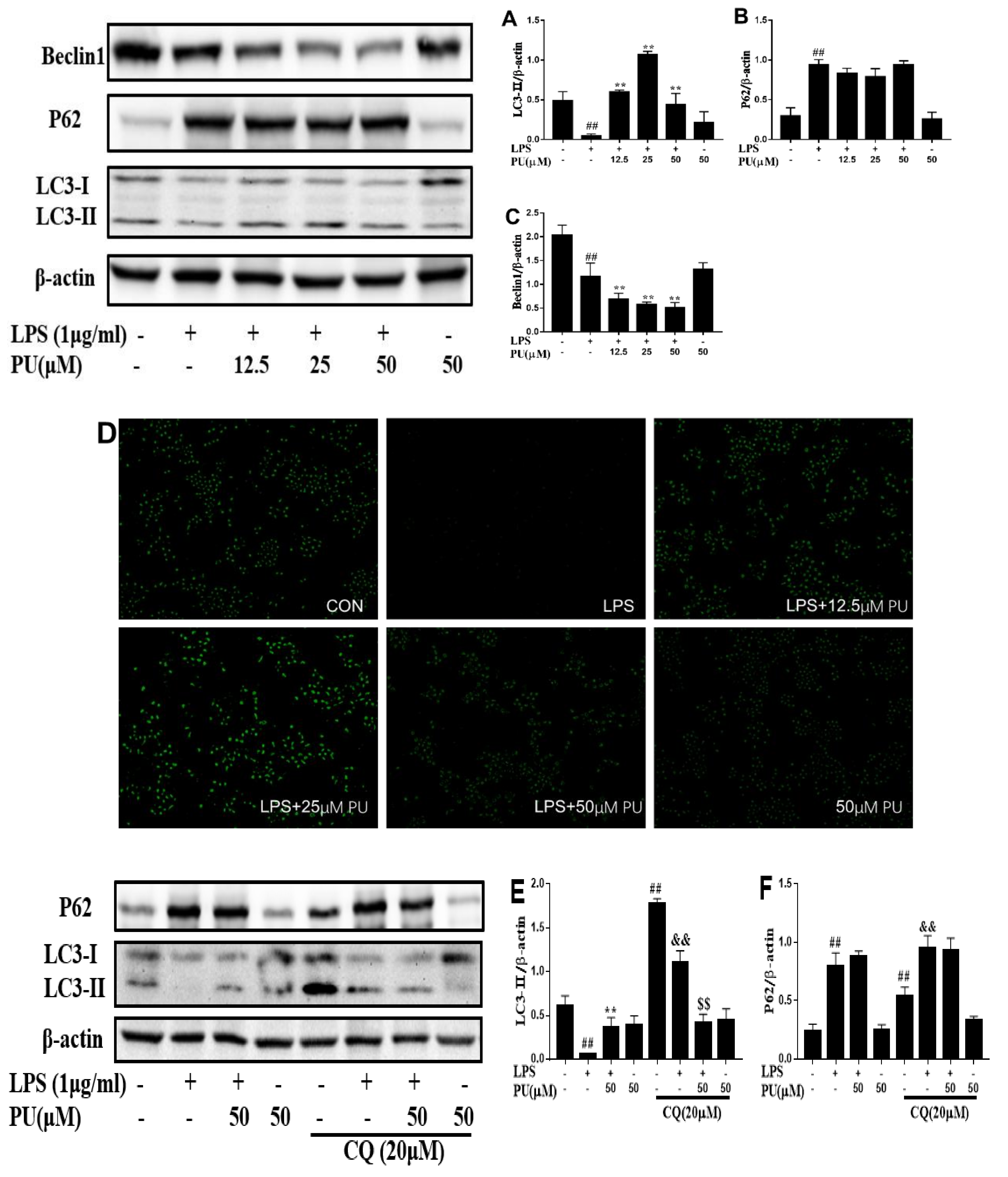Nutrients 11 02794 g005a
