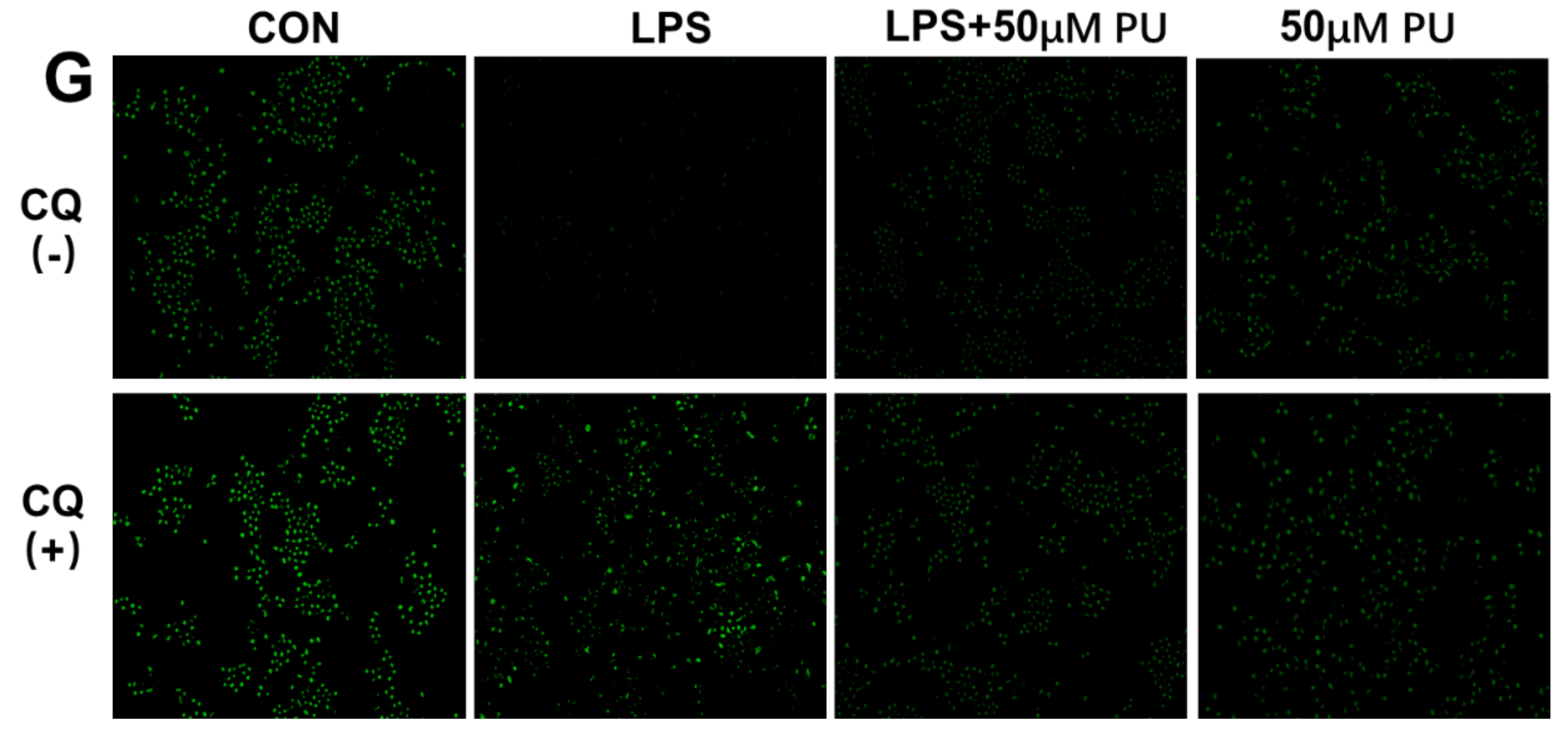 Nutrients 11 02794 g005b