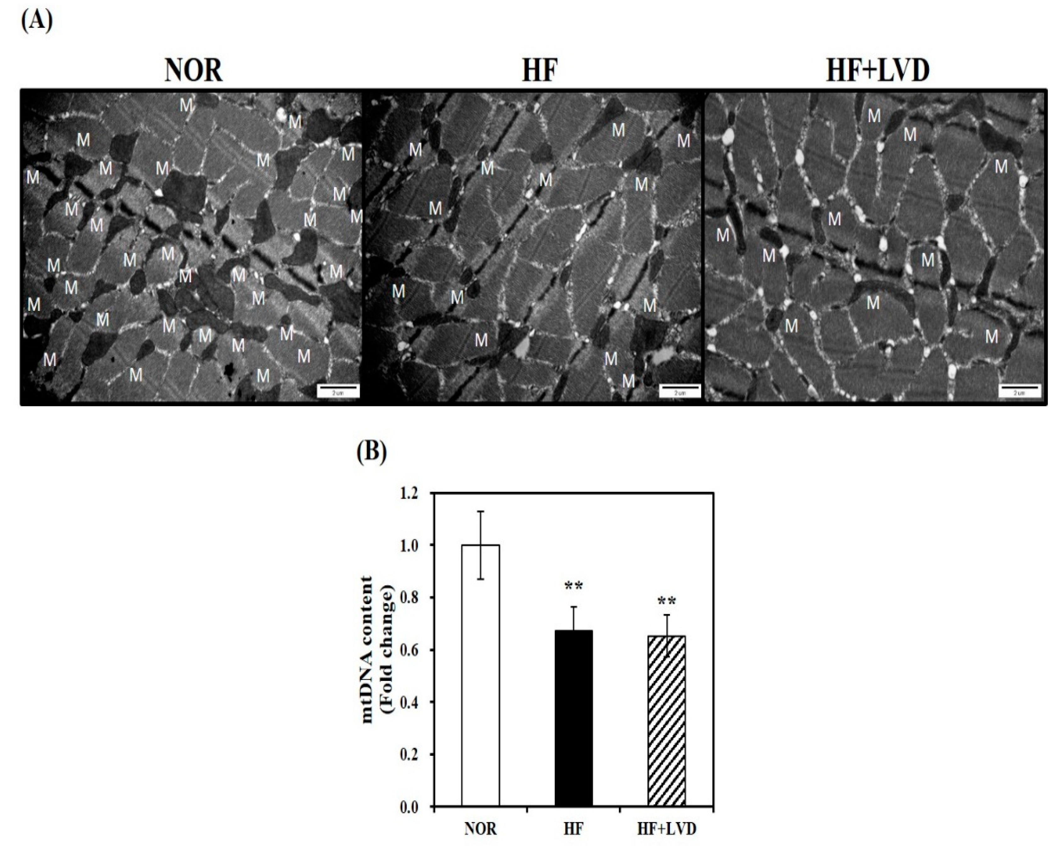 Nutrients 11 02806 g003