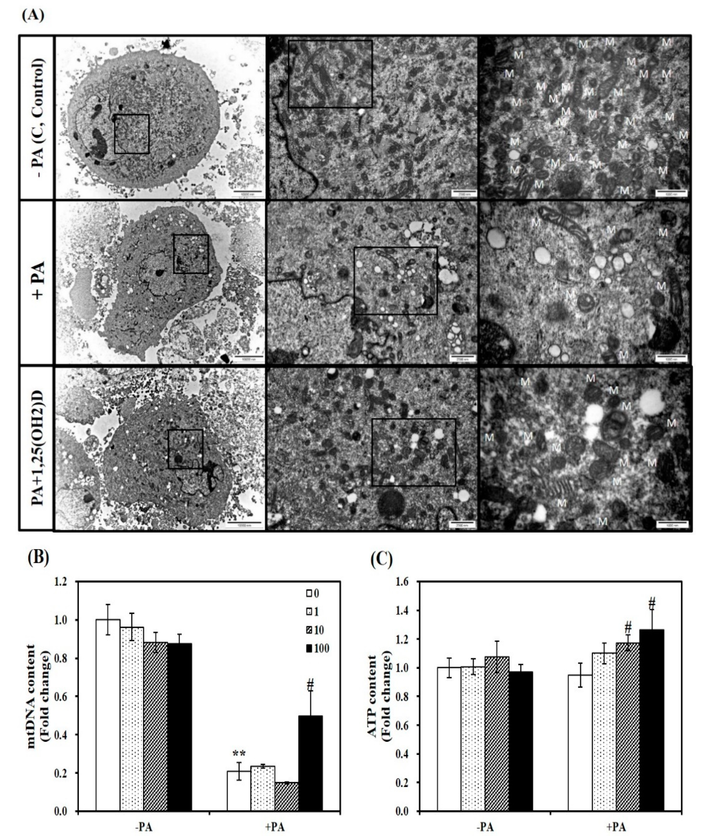 Nutrients 11 02806 g007