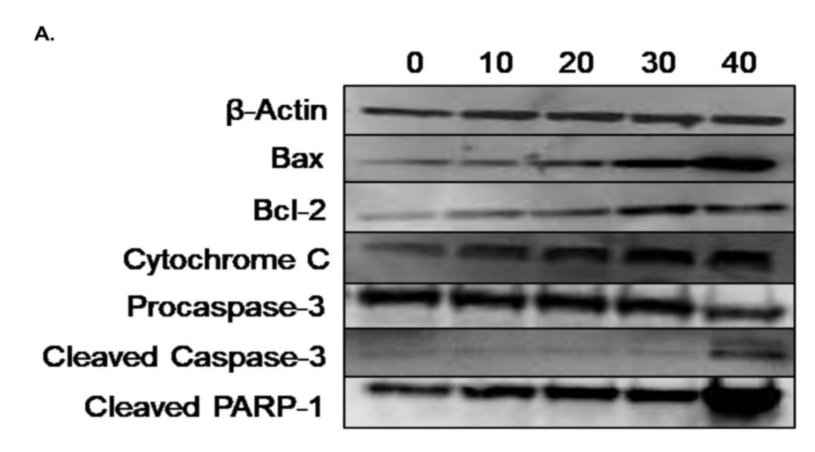 Nutrients 11 02808 g008a