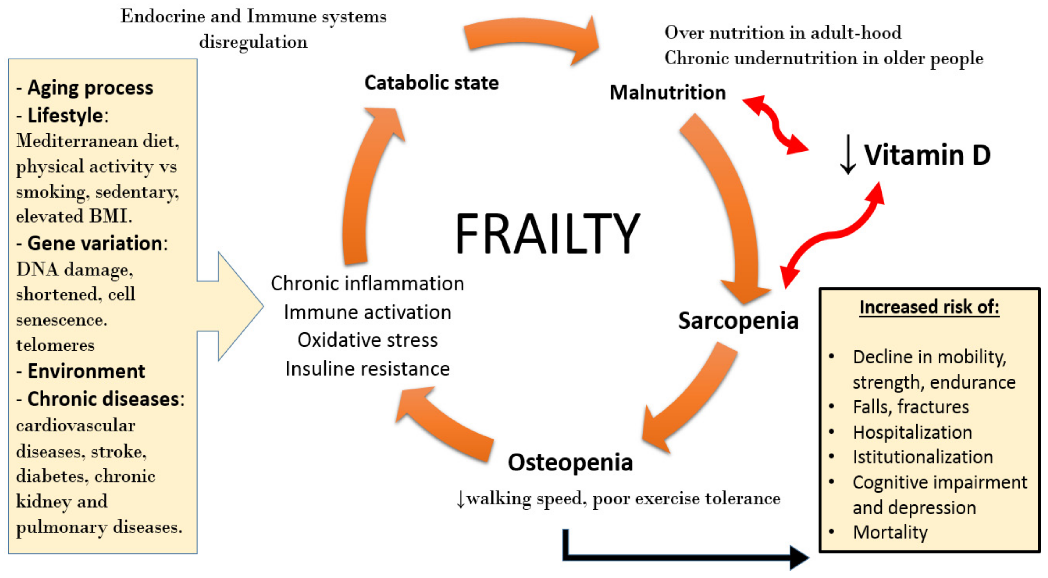 Nutrients 11 02861 g003