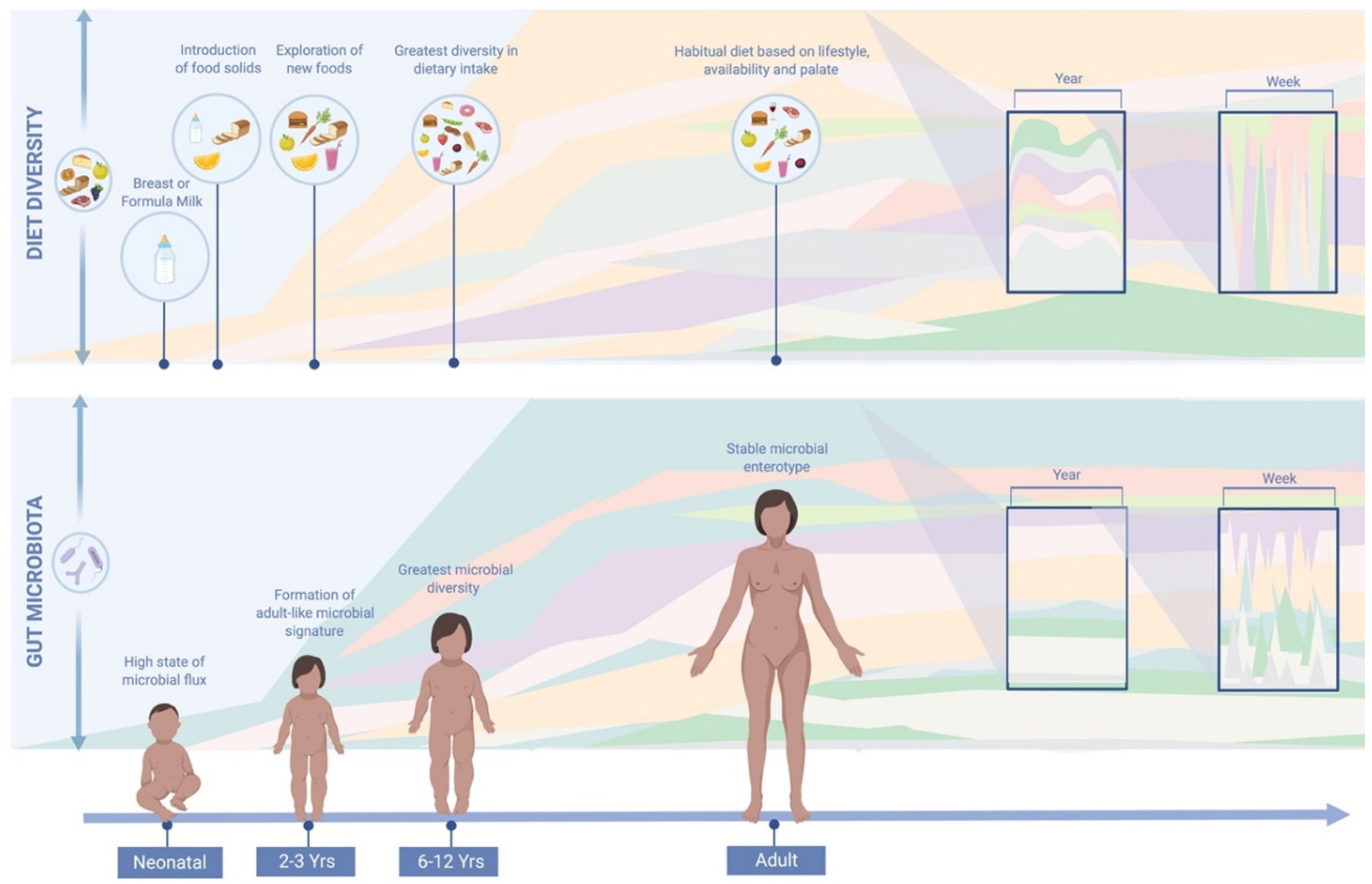 Nutrients 11 02862 g001