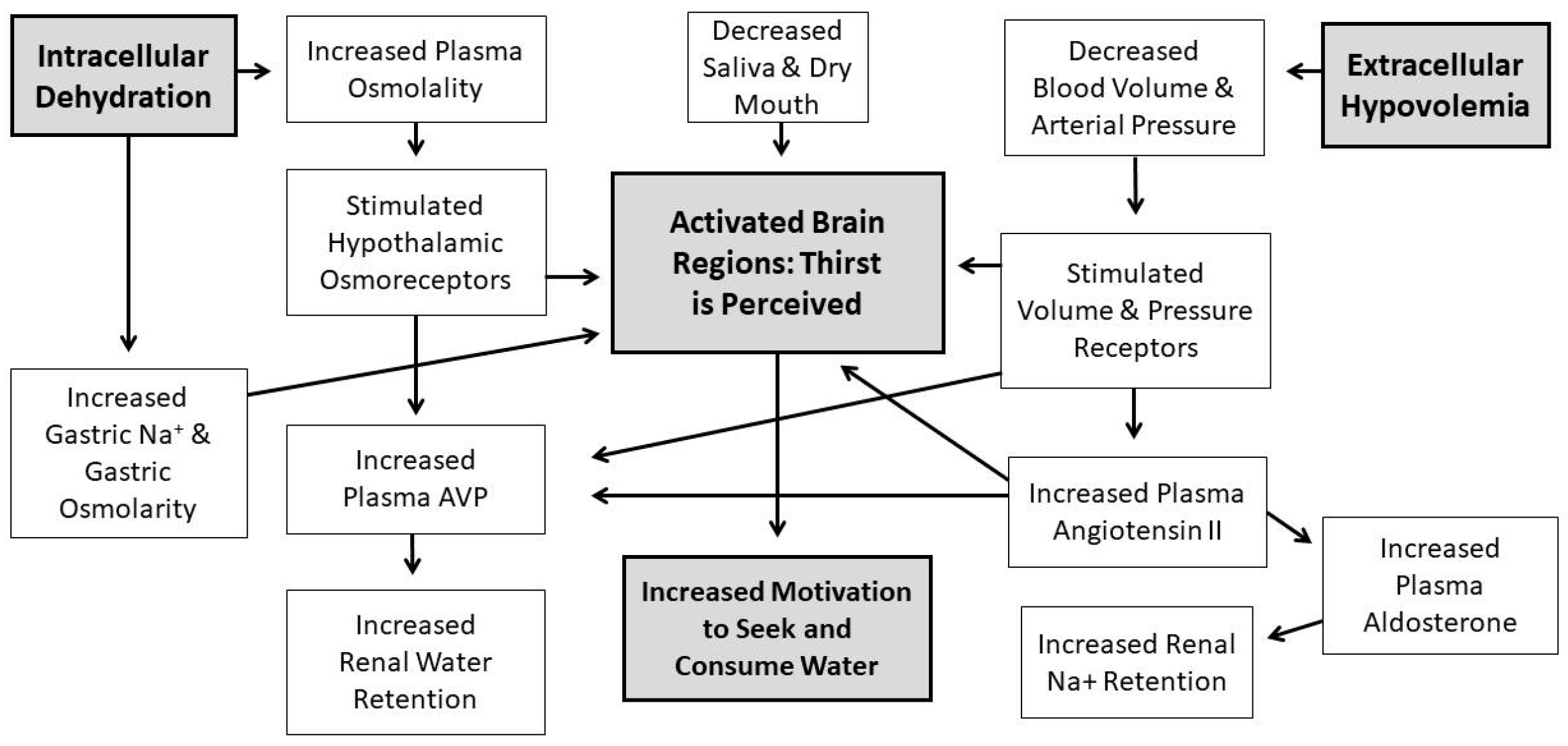 Nutrients 11 02864 g001