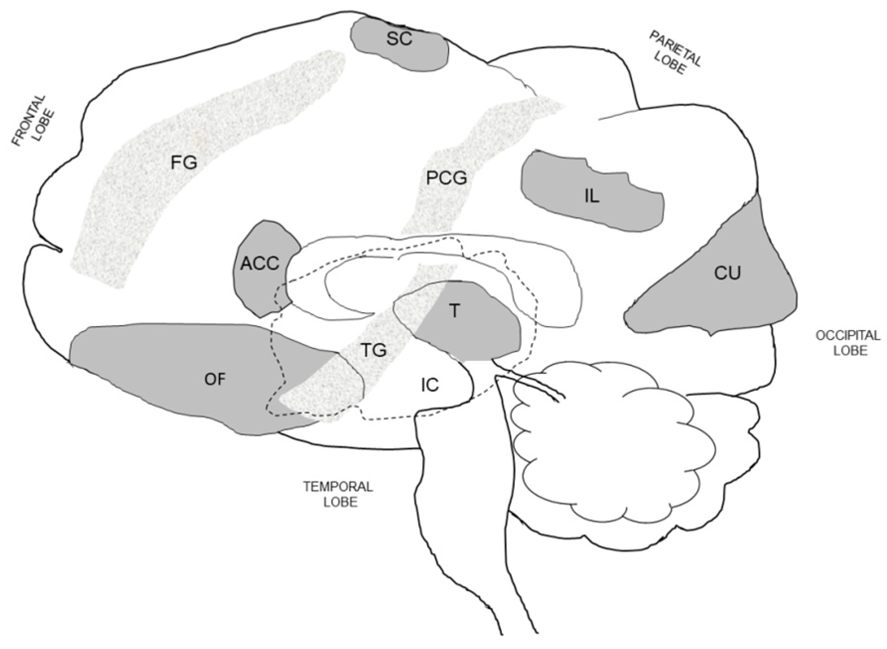 Nutrients 11 02864 g004