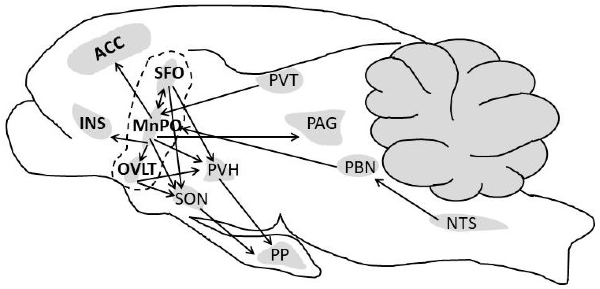 Nutrients 11 02864 g005