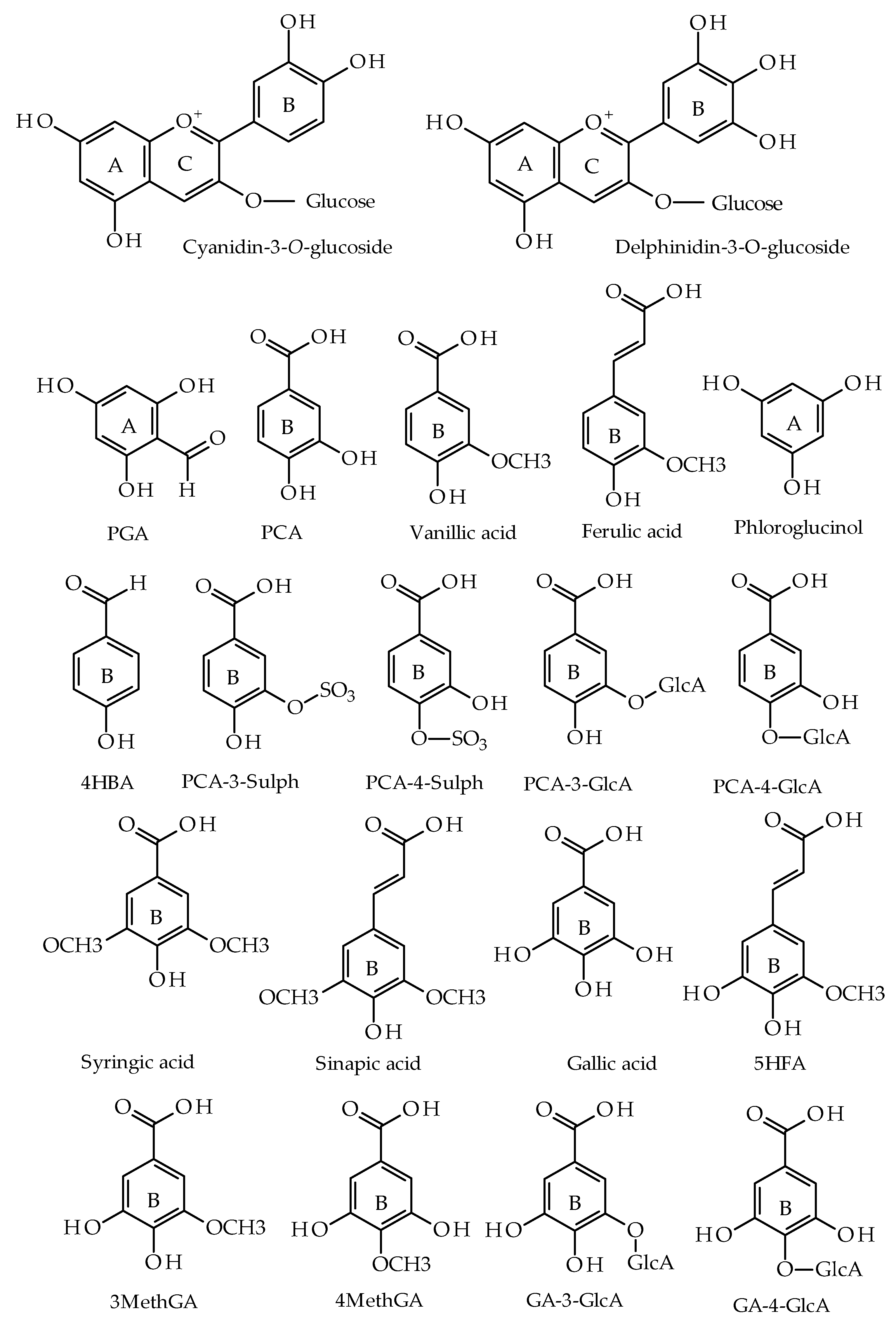 Nutrients 11 02872 g001