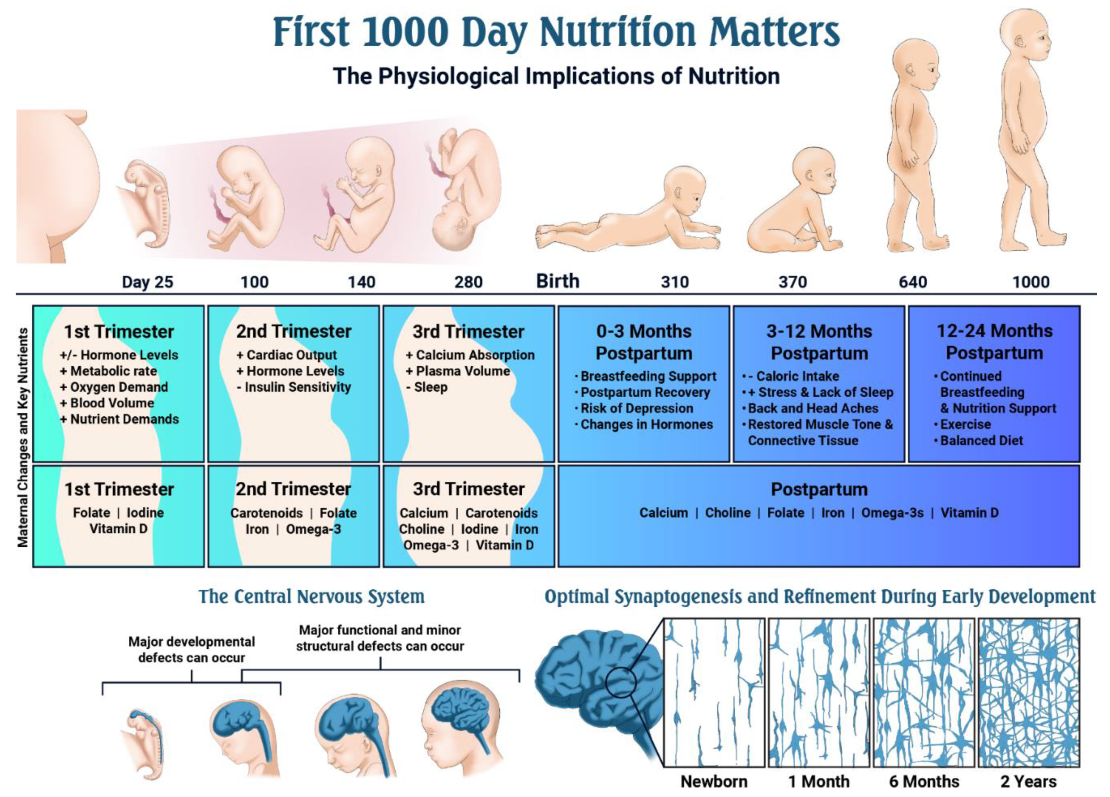 Nutrients 11 02891 g002 Nutrients 11 02891 g002