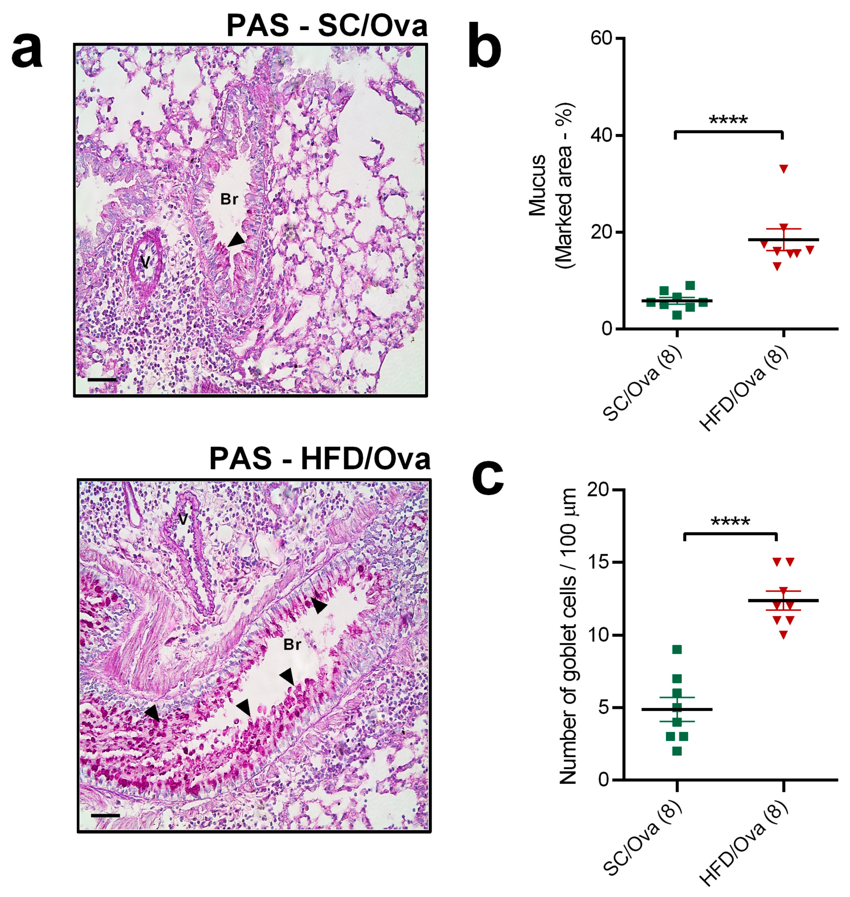 Nutrients 11 02902 g005 Nutrients 11 02902 g005