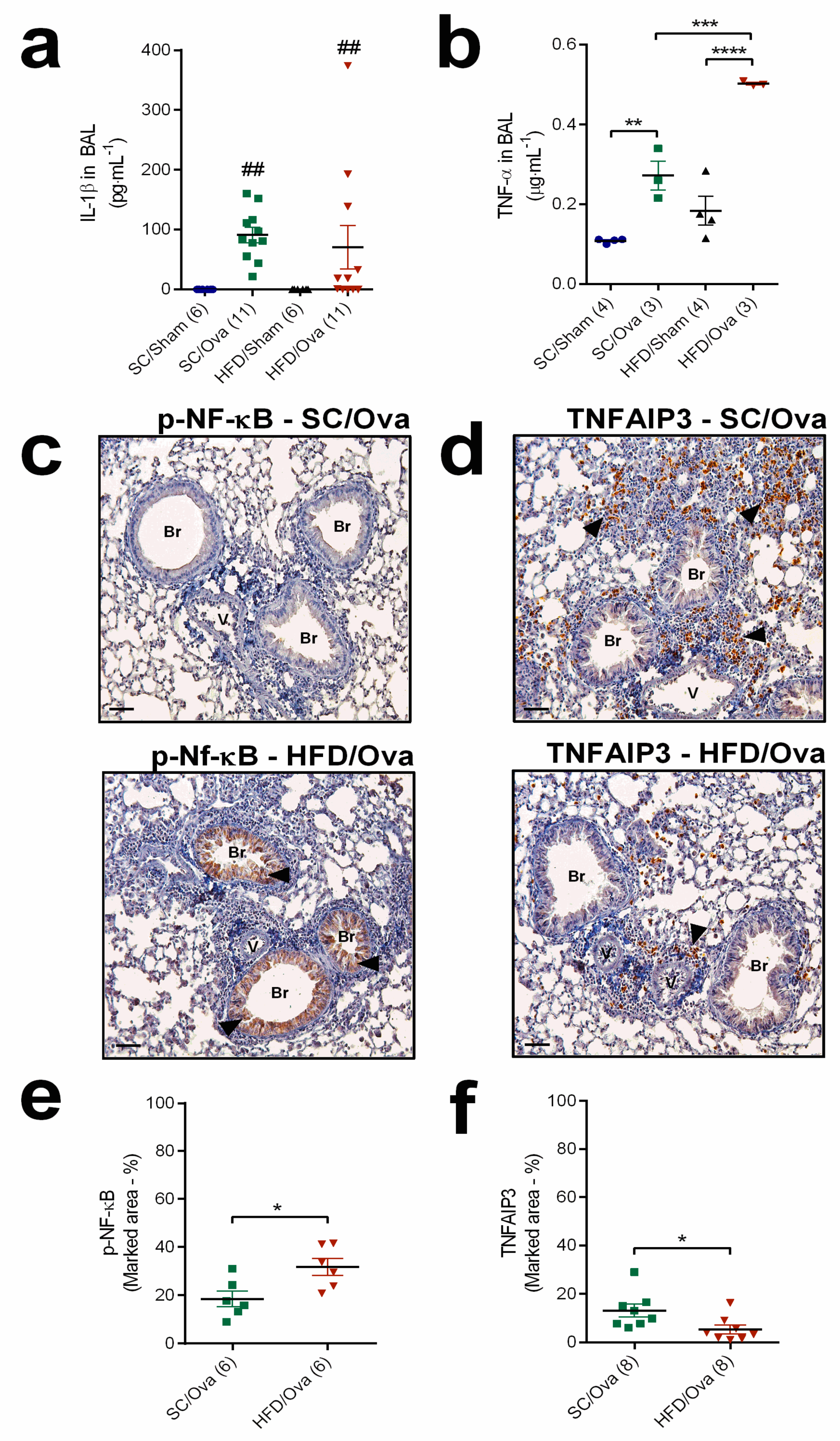 Nutrients 11 02902 g006 Nutrients 11 02902 g006