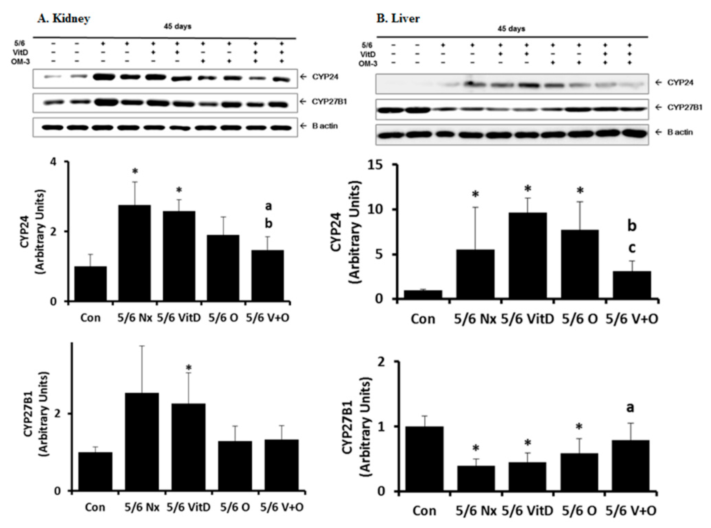 Nutrients 11 02903 g001