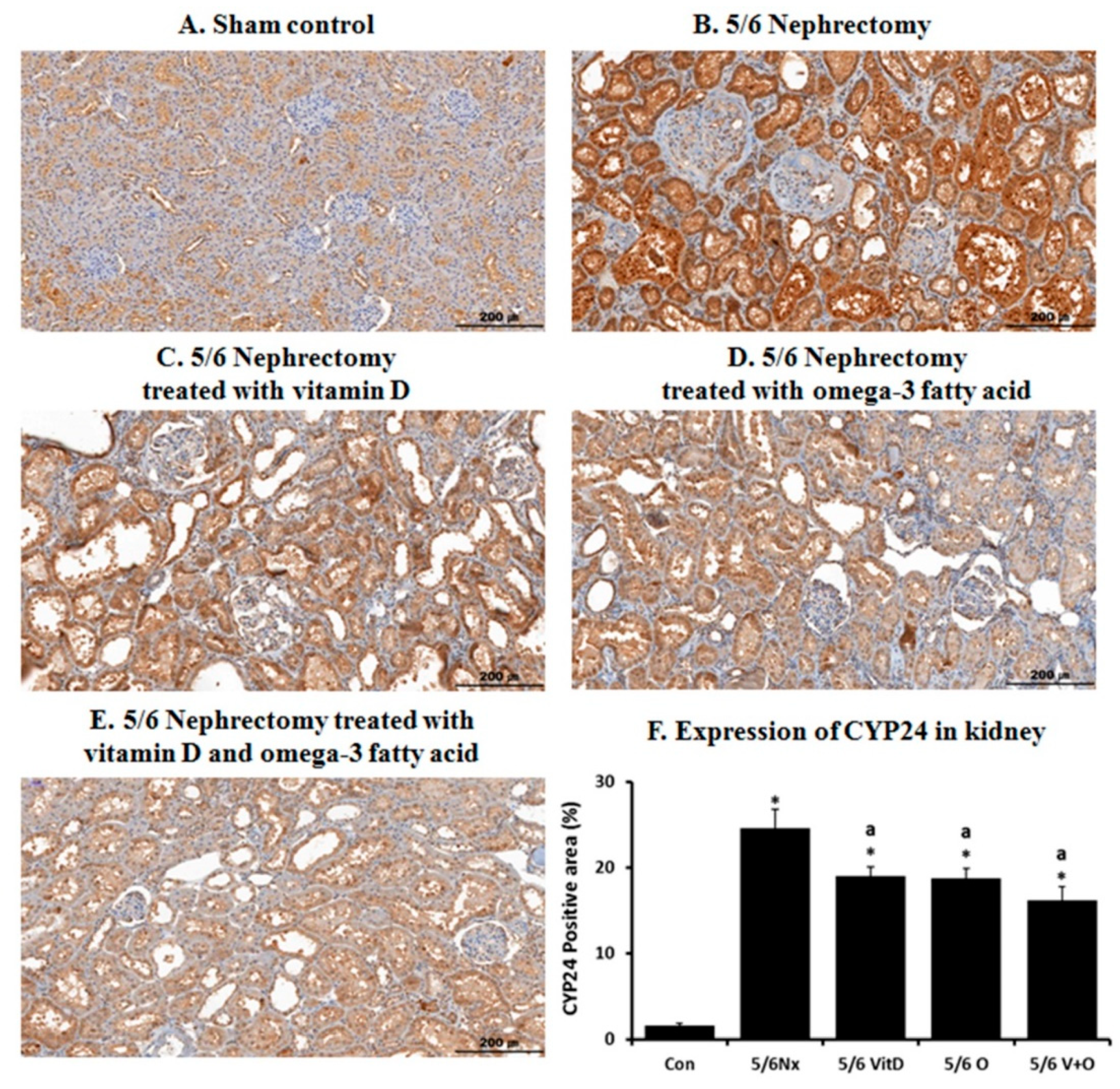 Nutrients 11 02903 g002
