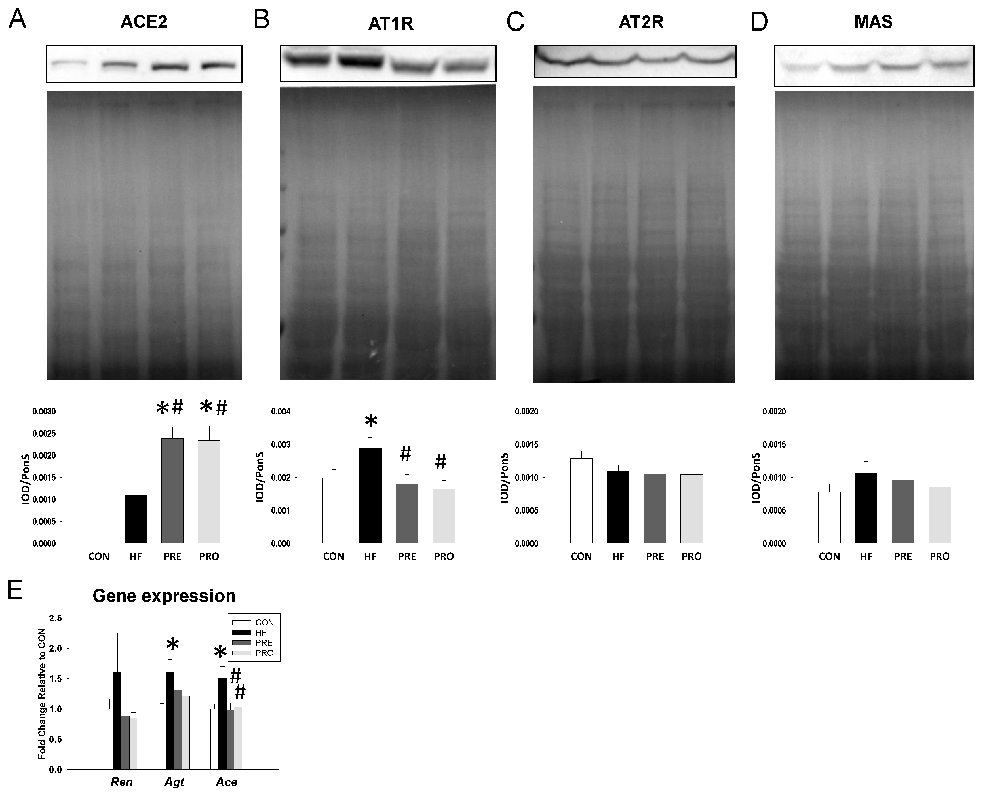 Nutrients 11 02908 g002