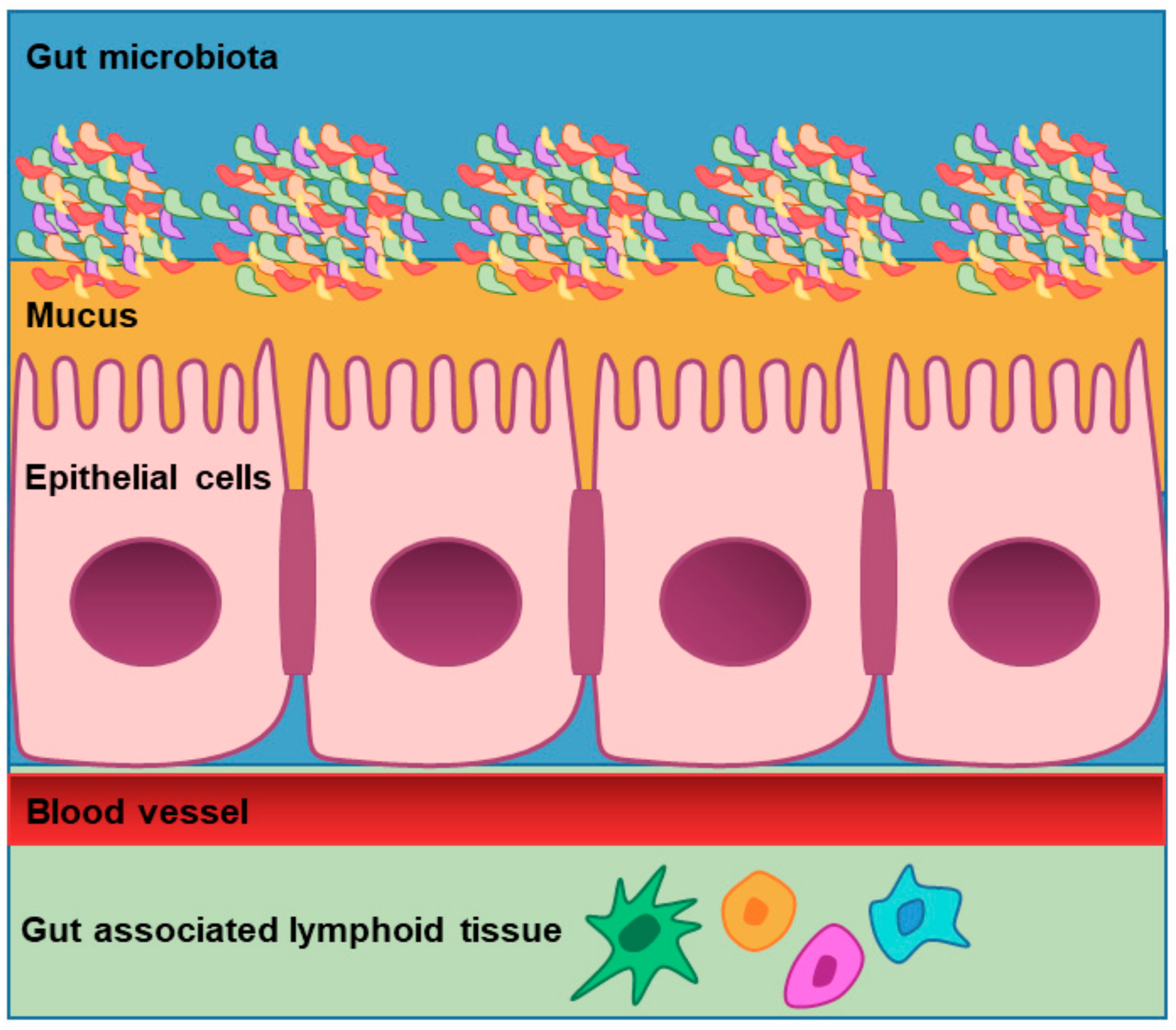 Nutrients 11 02936 g002