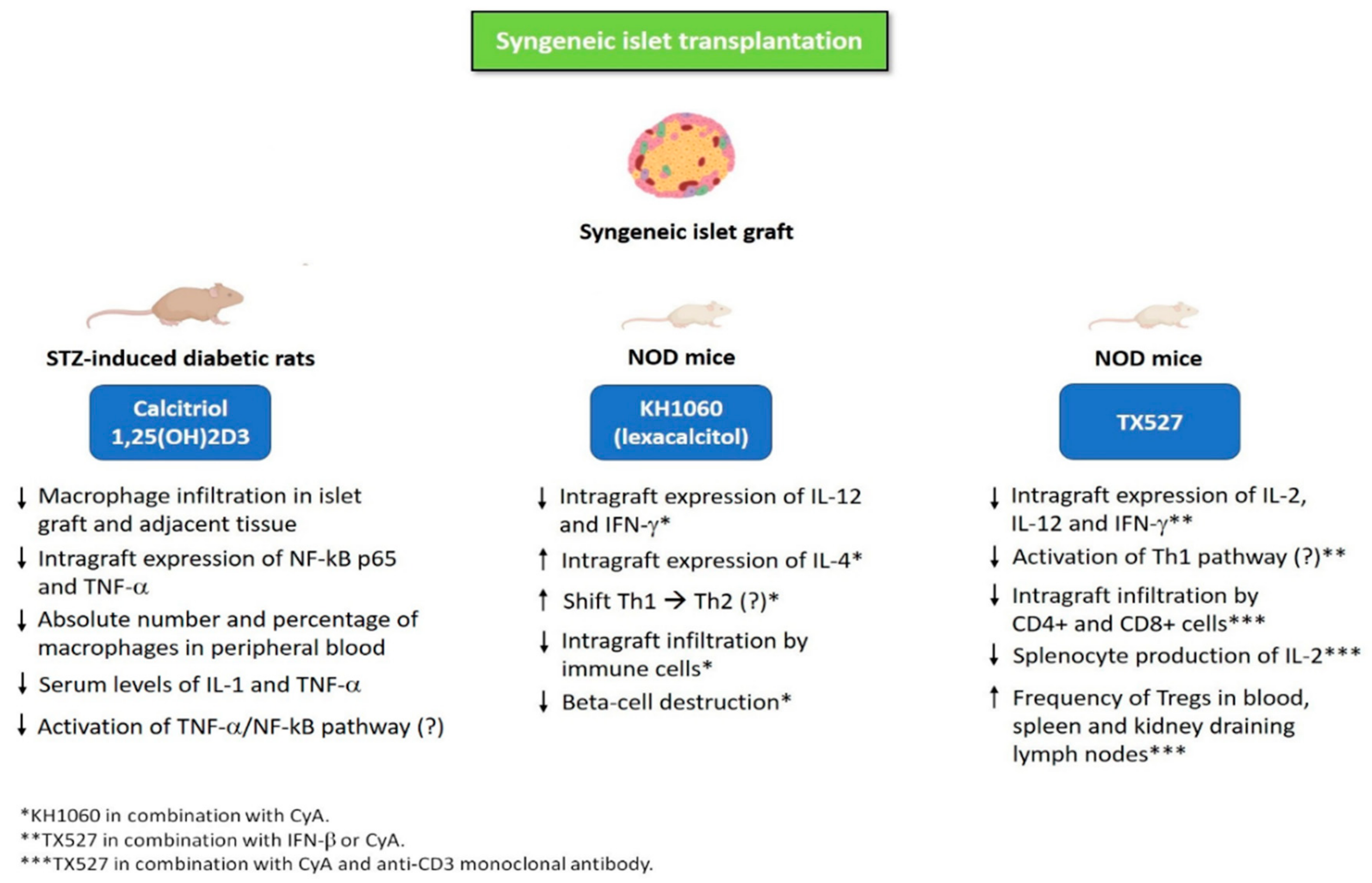 Nutrients 11 02937 g001