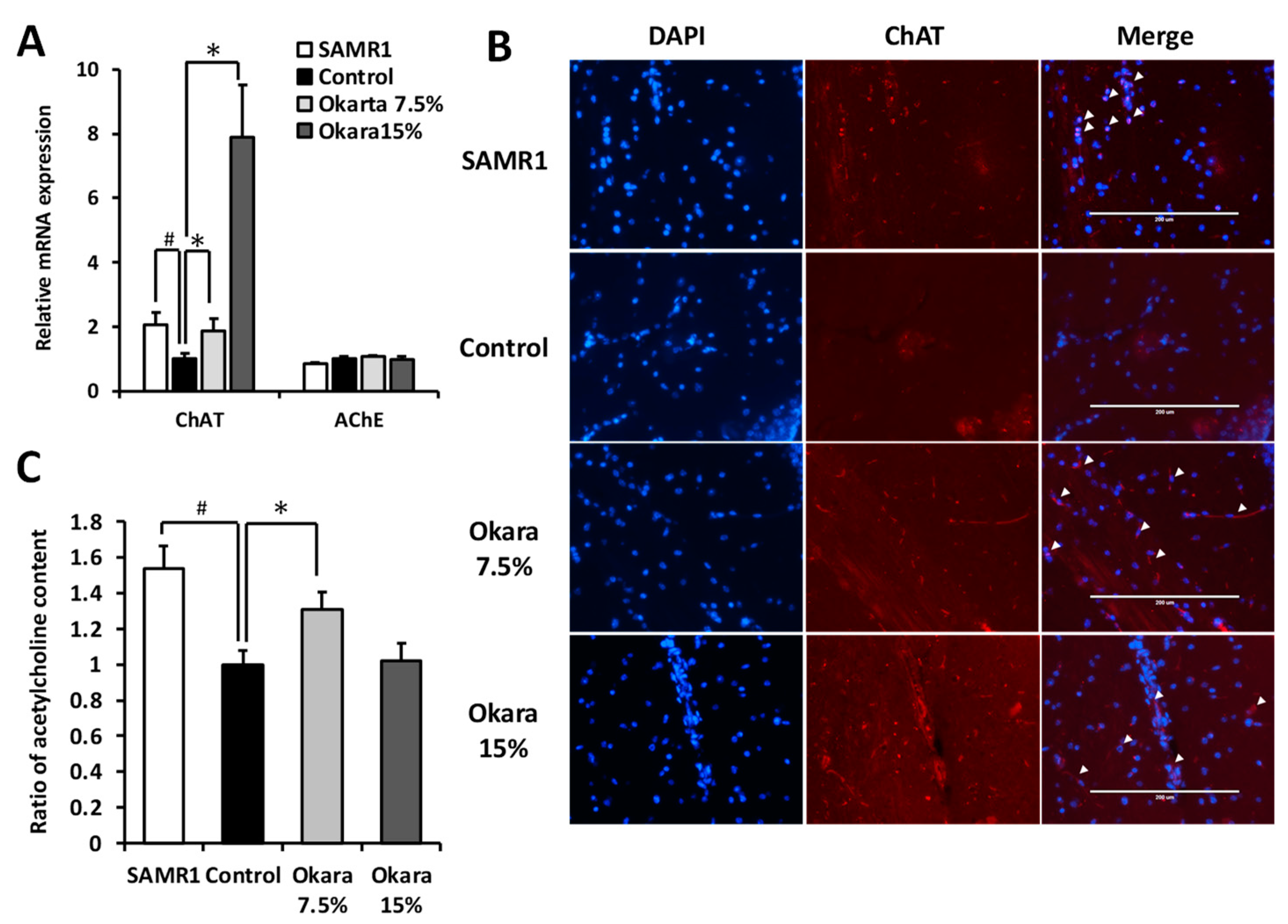 Nutrients 11 02939 g007 Nutrients 11 02939 g007