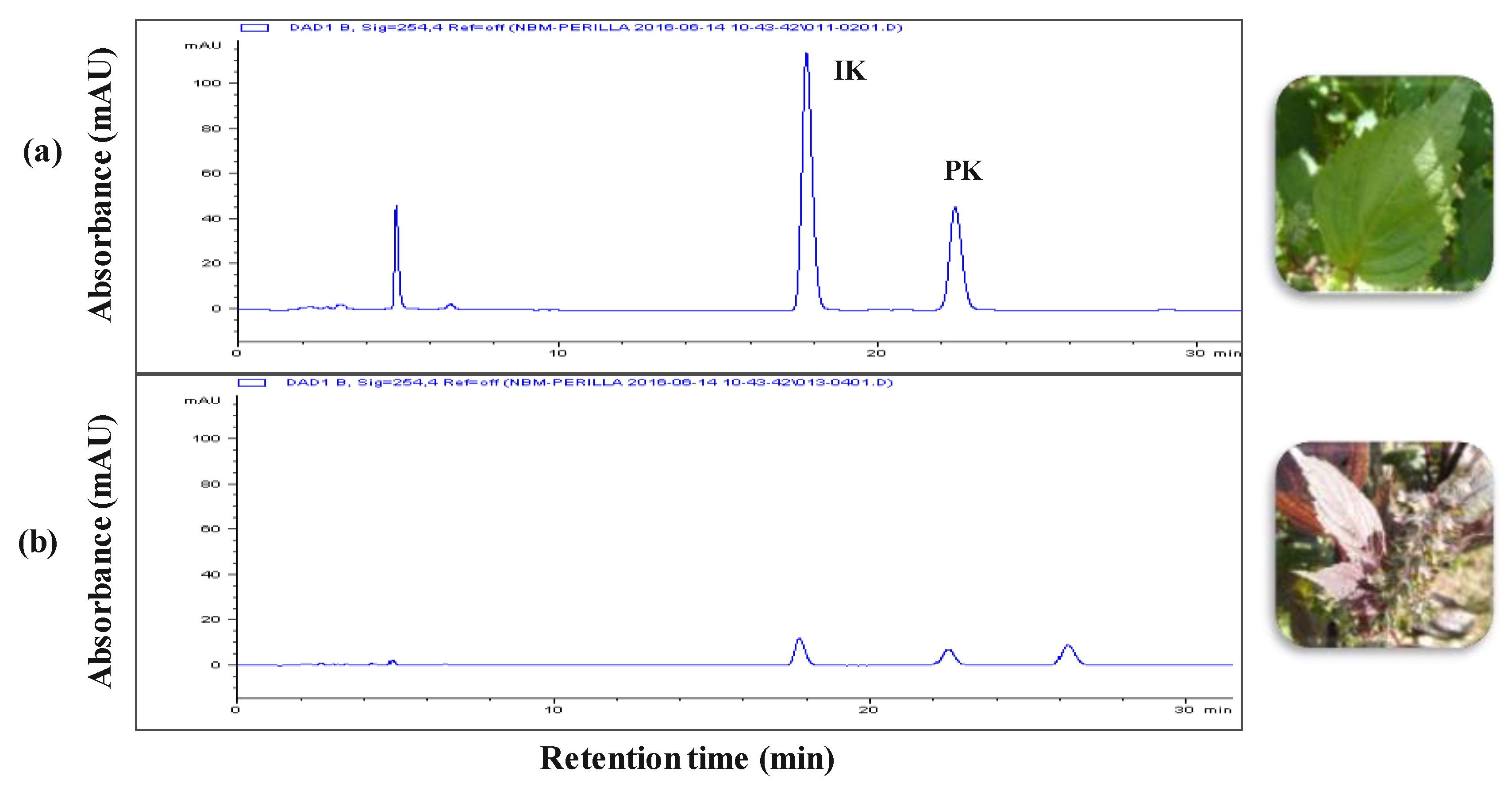Nutrients 11 02959 g001