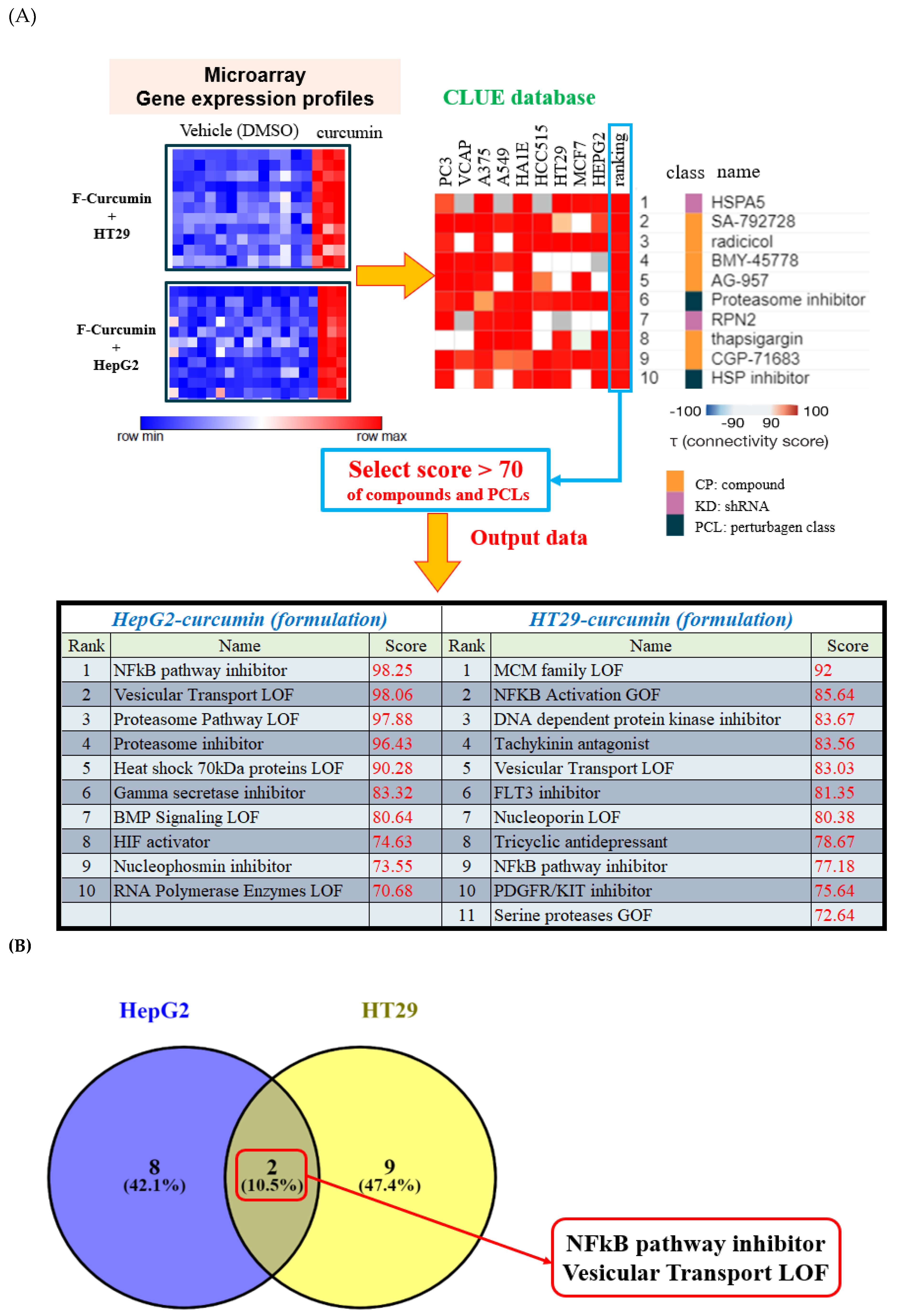 Nutrients 11 02982 g003a