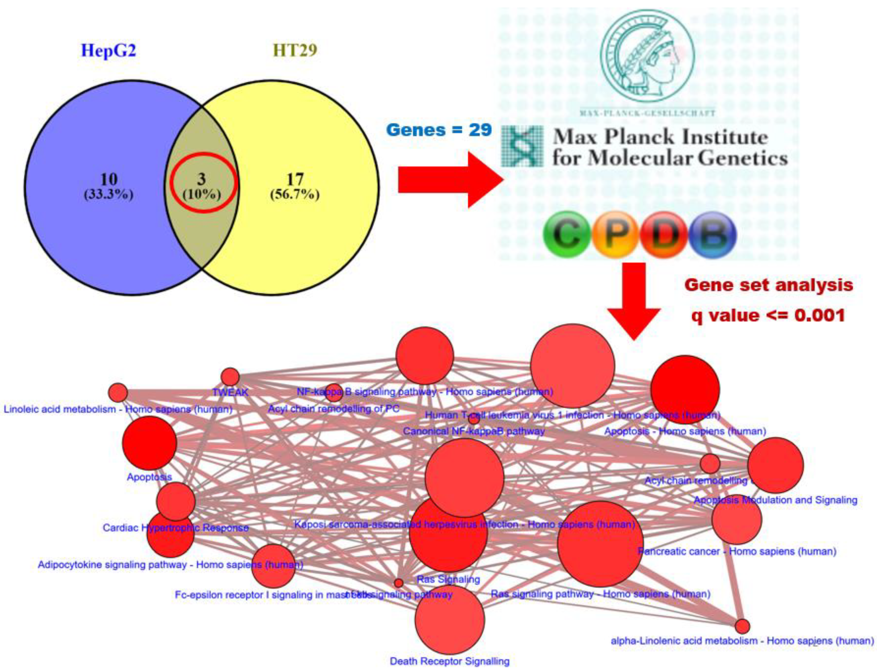 Nutrients 11 02982 g004