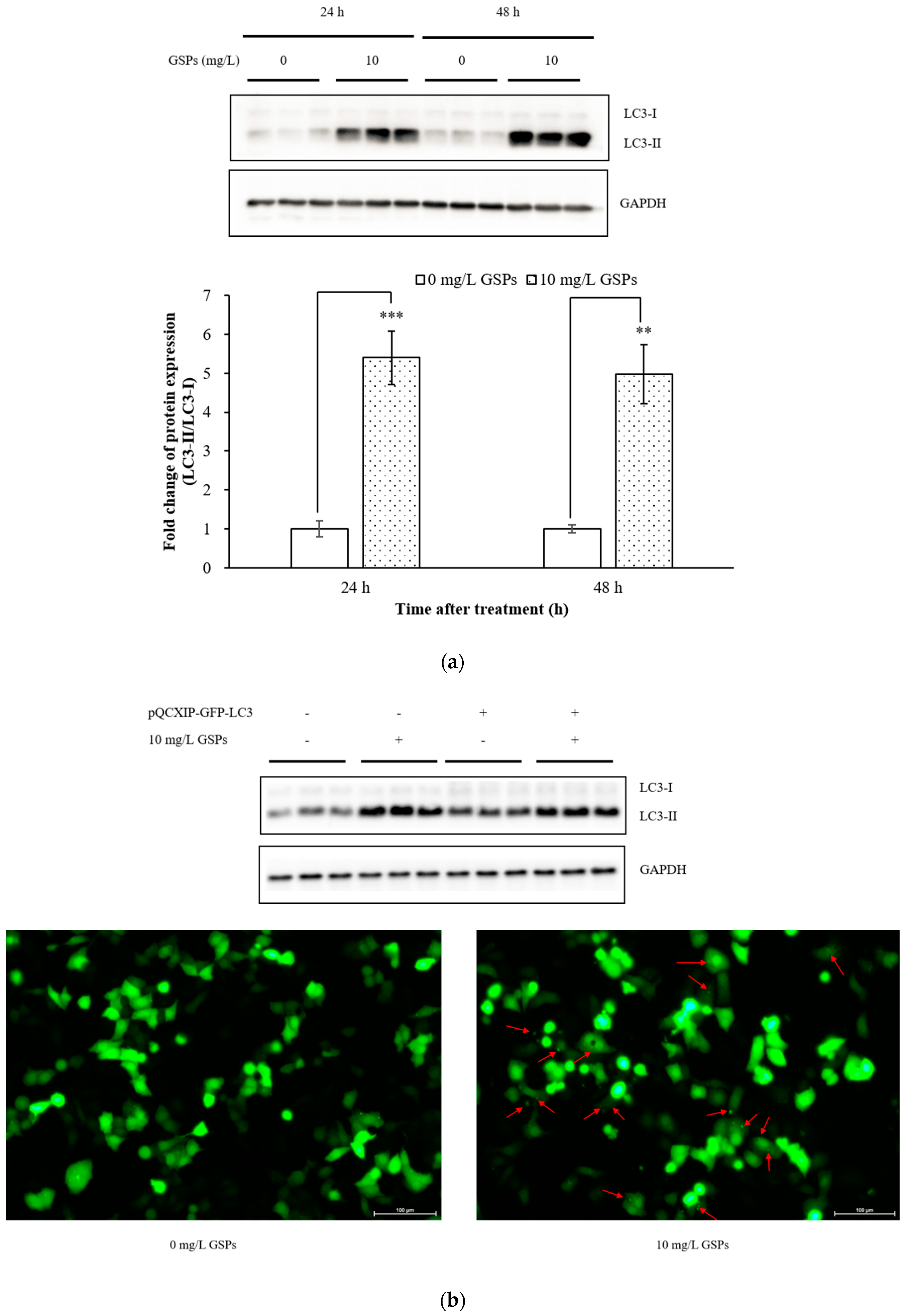 Nutrients 11 02983 g001a