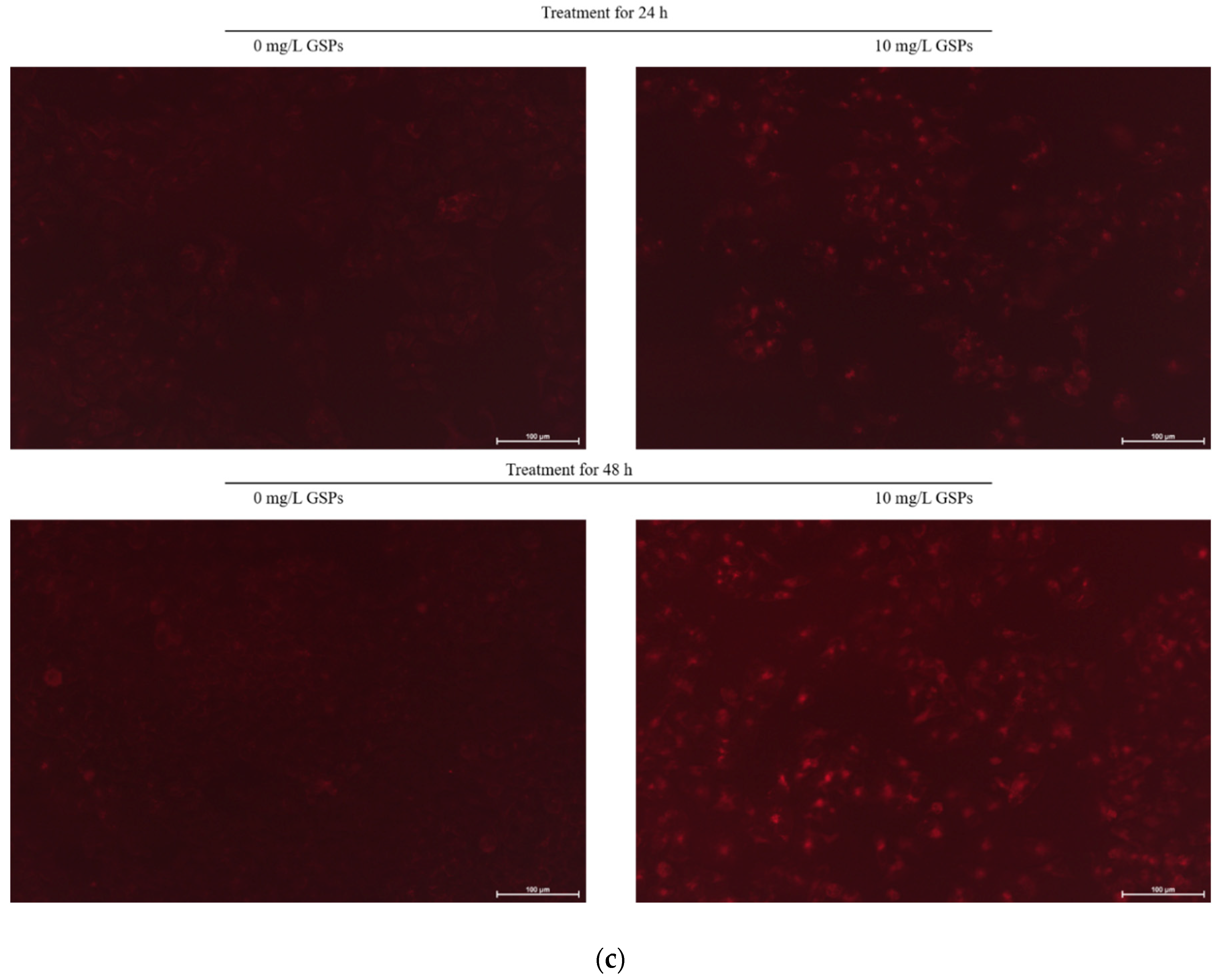 Nutrients 11 02983 g001b