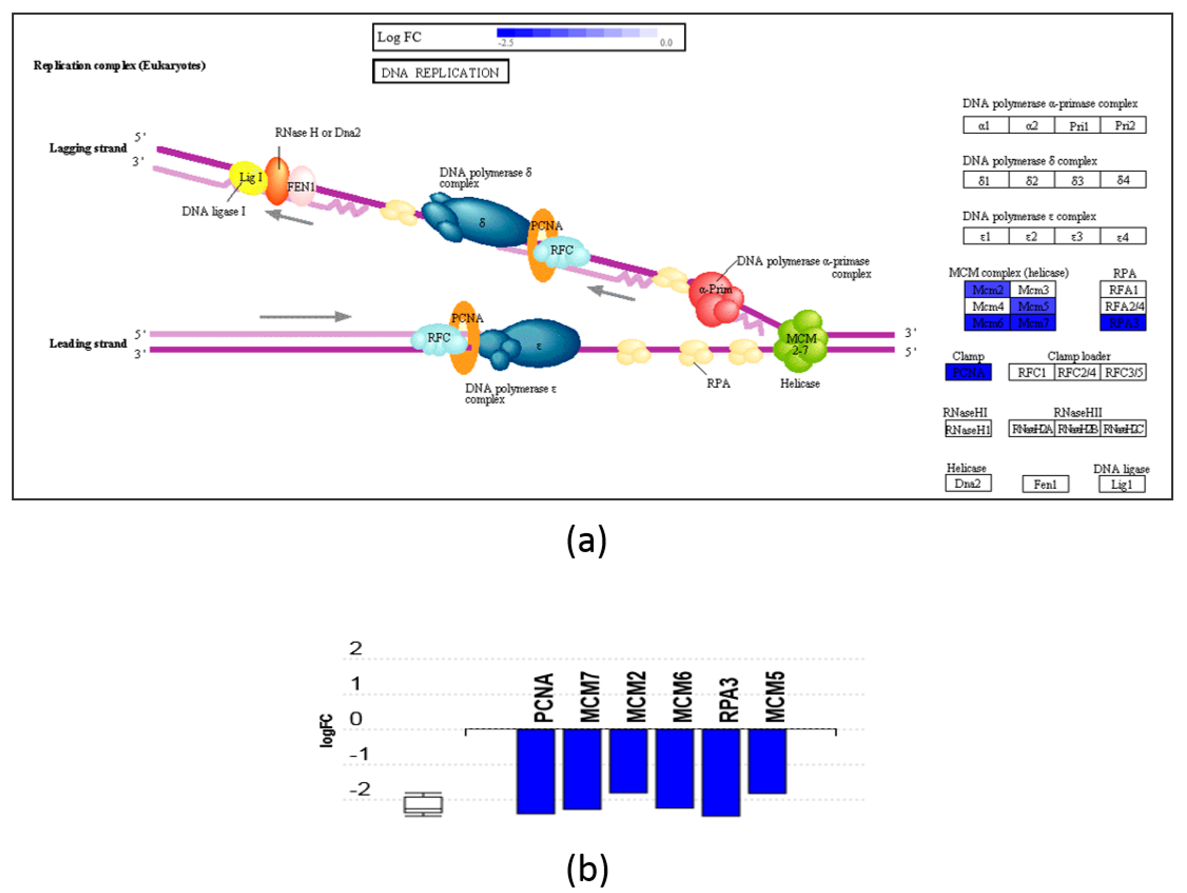 Nutrients 11 02984 g005 Nutrients 11 02984 g005