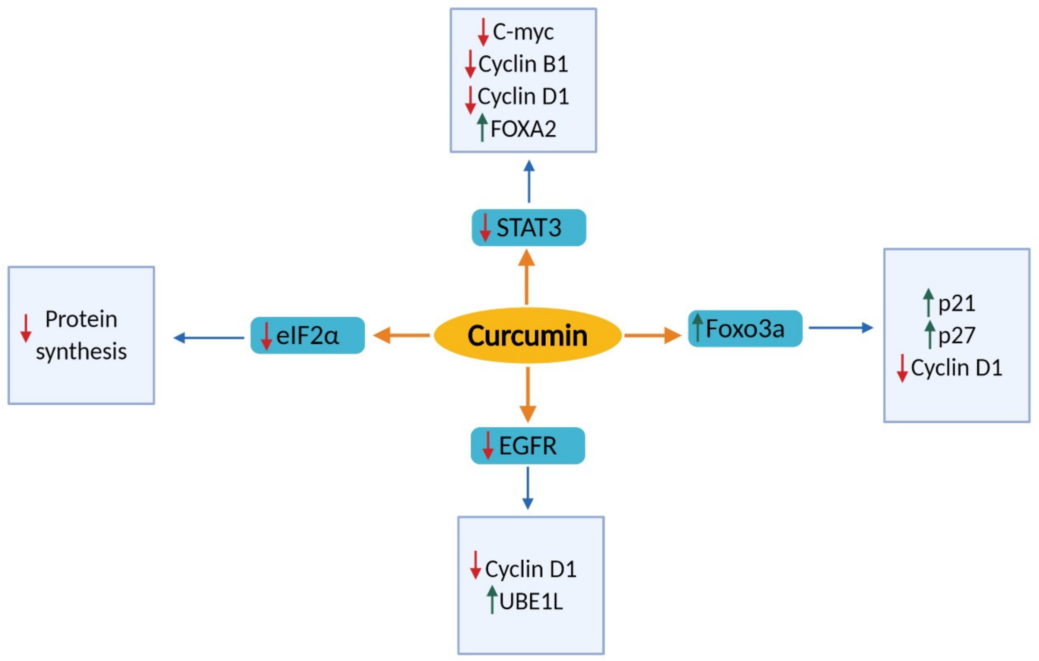 Nutrients 11 02989 g001