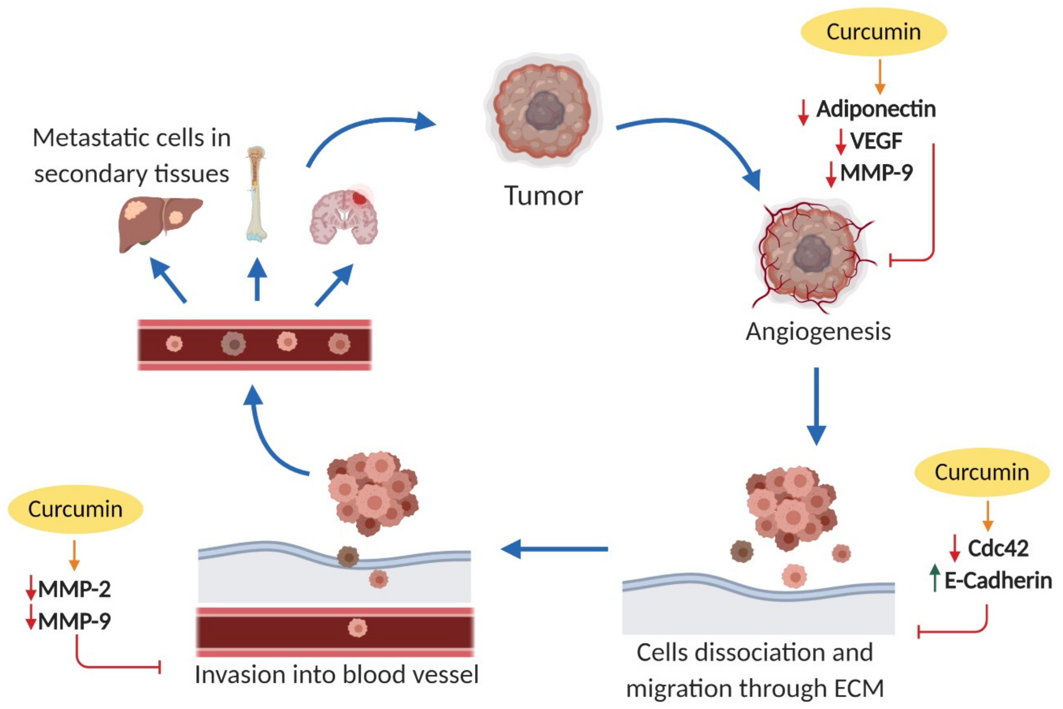 Nutrients 11 02989 g003